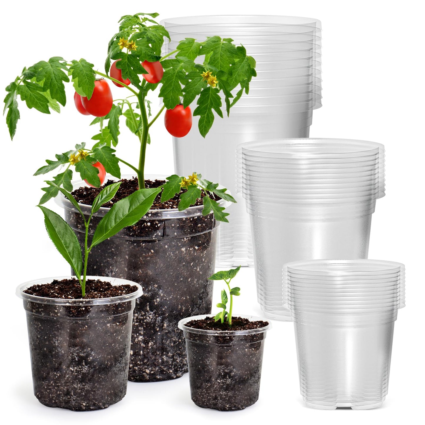 Bluepro 30 Packs 7/5/4 Inch Reinforced Clear Nursery Pots with Drainage Hole, Transparent Variety Pack Plastic Plant Pot Seedling Planter Seed Starter Flower