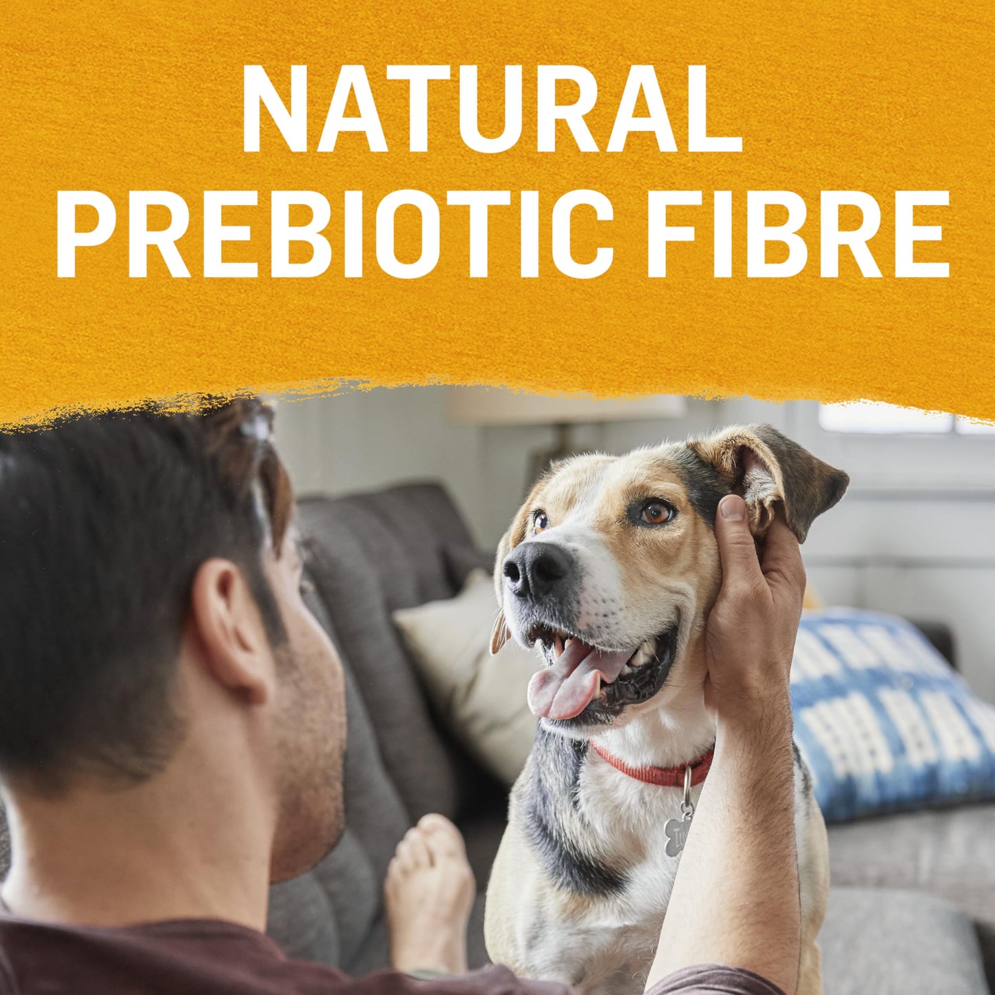 Beyond Natural Wet Dog Food, Chicken, Carrot & Pea Ground Entree - 368 g Can (12 Pack)