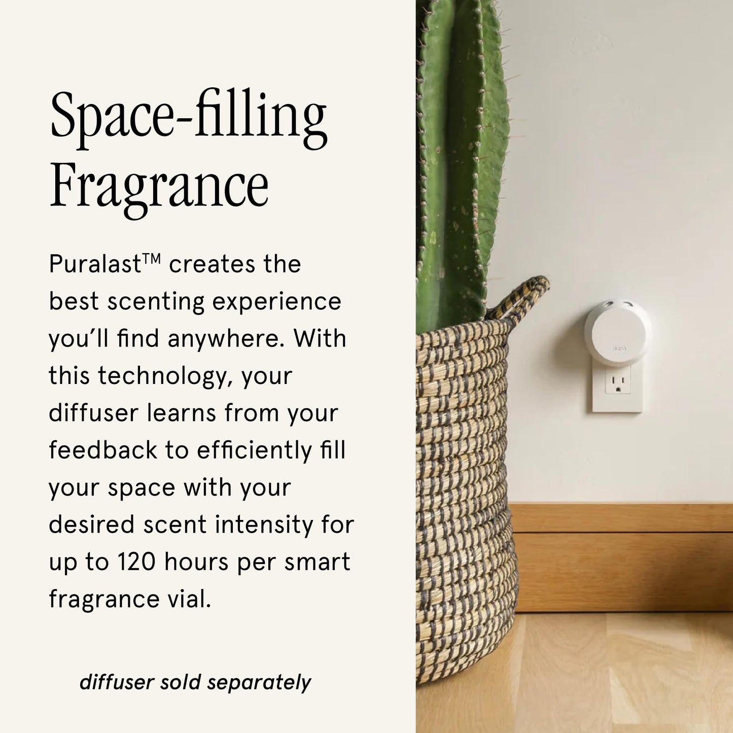 Pura & Becki Owens Home Scent Refill - Smart Home Air Diffuser - Up to 120-Hours of Luxury Fragrance per Refill - Spring & Summer Fragrance - 2 Pack, Beach Glow