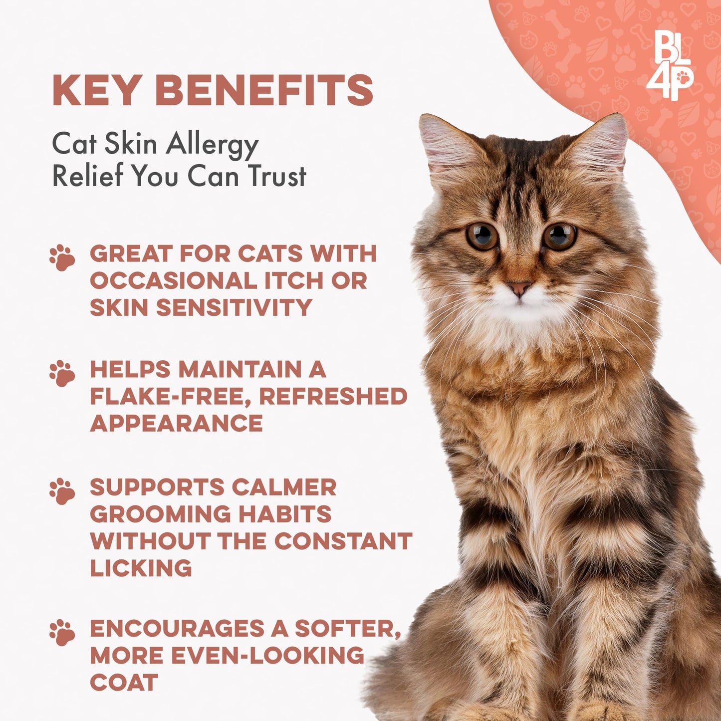 Cat Itchy Skin Relief & Hair Loss Treatment, Holistic Allergy Relief for Cats Calms Dry Skin, Dandruff & Reduces Licking, Scratching, Patchy, Matted and Shedding Fur, 400 Easy to Use Pills