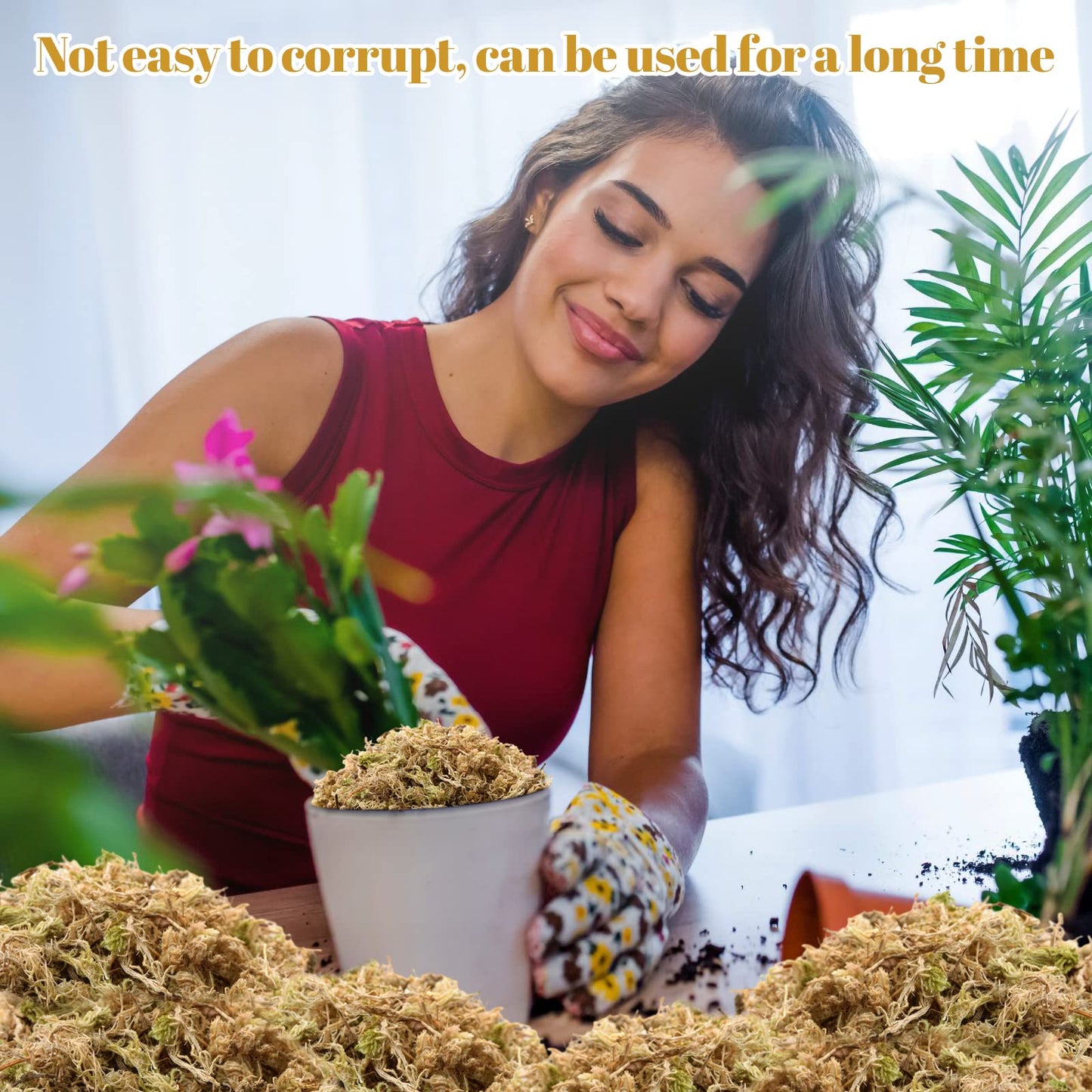 Legigo 2.2LBS Premium Sphagnum Moss for Plants- 40QT Natural Succulent Carnivorous Plant Moss Dried, Long Fiber Orchid Moss for Orchid Repotting Succulent Sarracenia Potted Plants Gardening & Reptiles