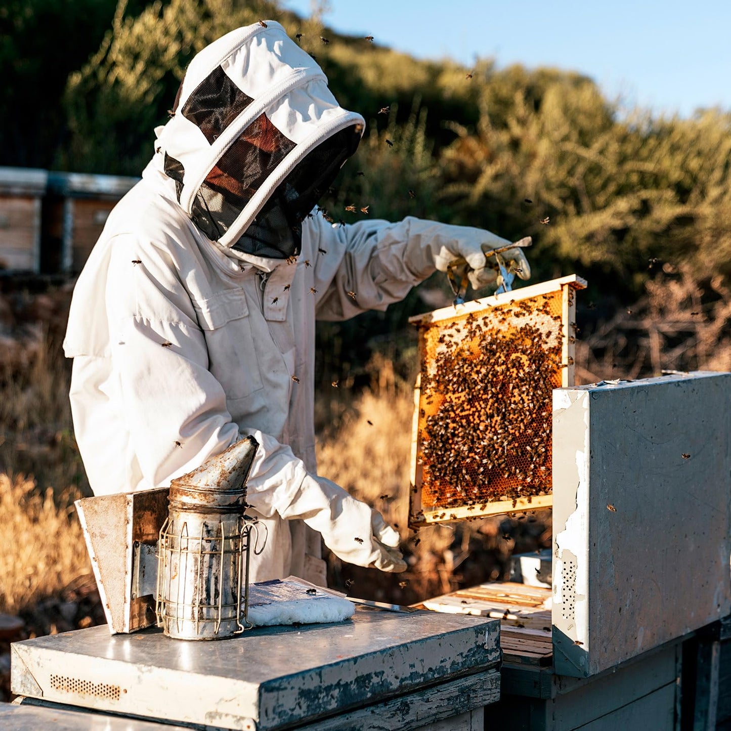 HARFINGTON Bee Suit for Men Women XXXL Beekeeping Suit Outfit with Gloves and Veil Hood (Jacket, Pants, Gloves) Bee Suits for Adult Backyard Professional and Beginner Bee Keeper,White