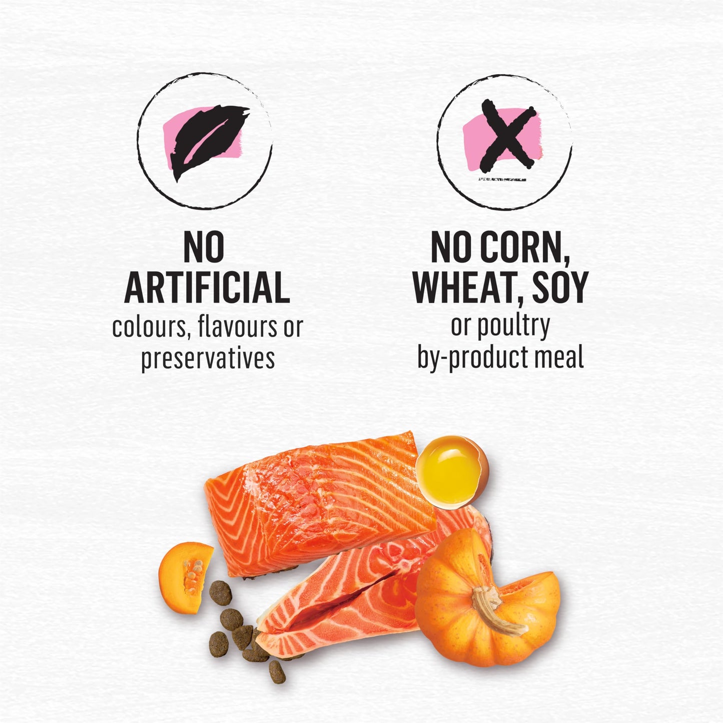 Beyond Superfood Blend Natural Dry Dog Food, Wild Caught Salmon, Egg & Pumpkin - 10.2 kg Bag