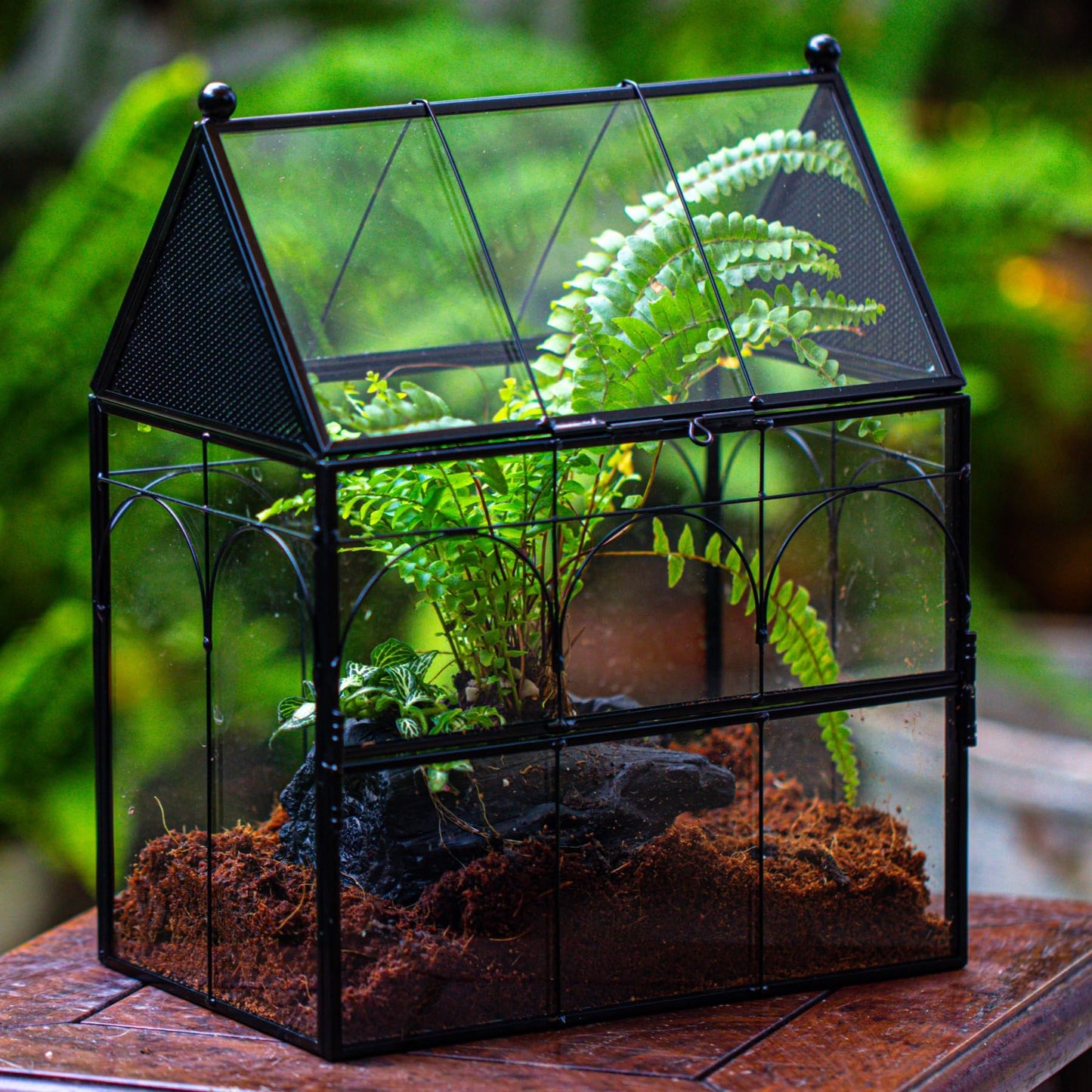 NCYP Glass Enclosure with Vent Holes for Insect, Spiders, Snails - 19 x 12.5 x 23 cm Small Closed Front Opening Door Succulent Terarium - House Shape Habitat, Home Decor Black (No Plants)