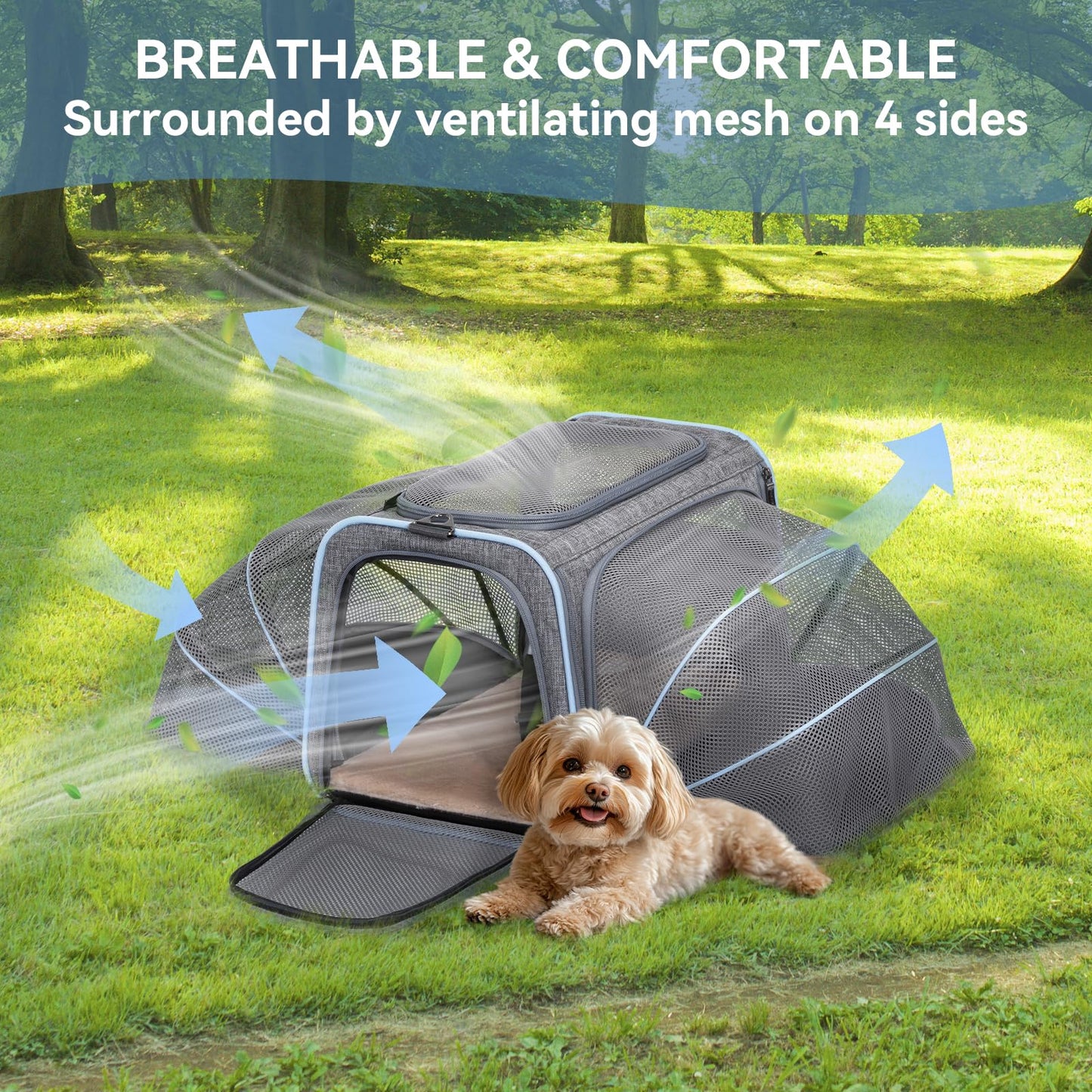 Petsfit Expandable Cat Carrier Dog Carrier,Airline Approved Soft-Sided Portable Pet Travel Washable Carrier for Kittens,Puppies,Removable Soft Plush mat and Pockets,Locking Safety Zippers