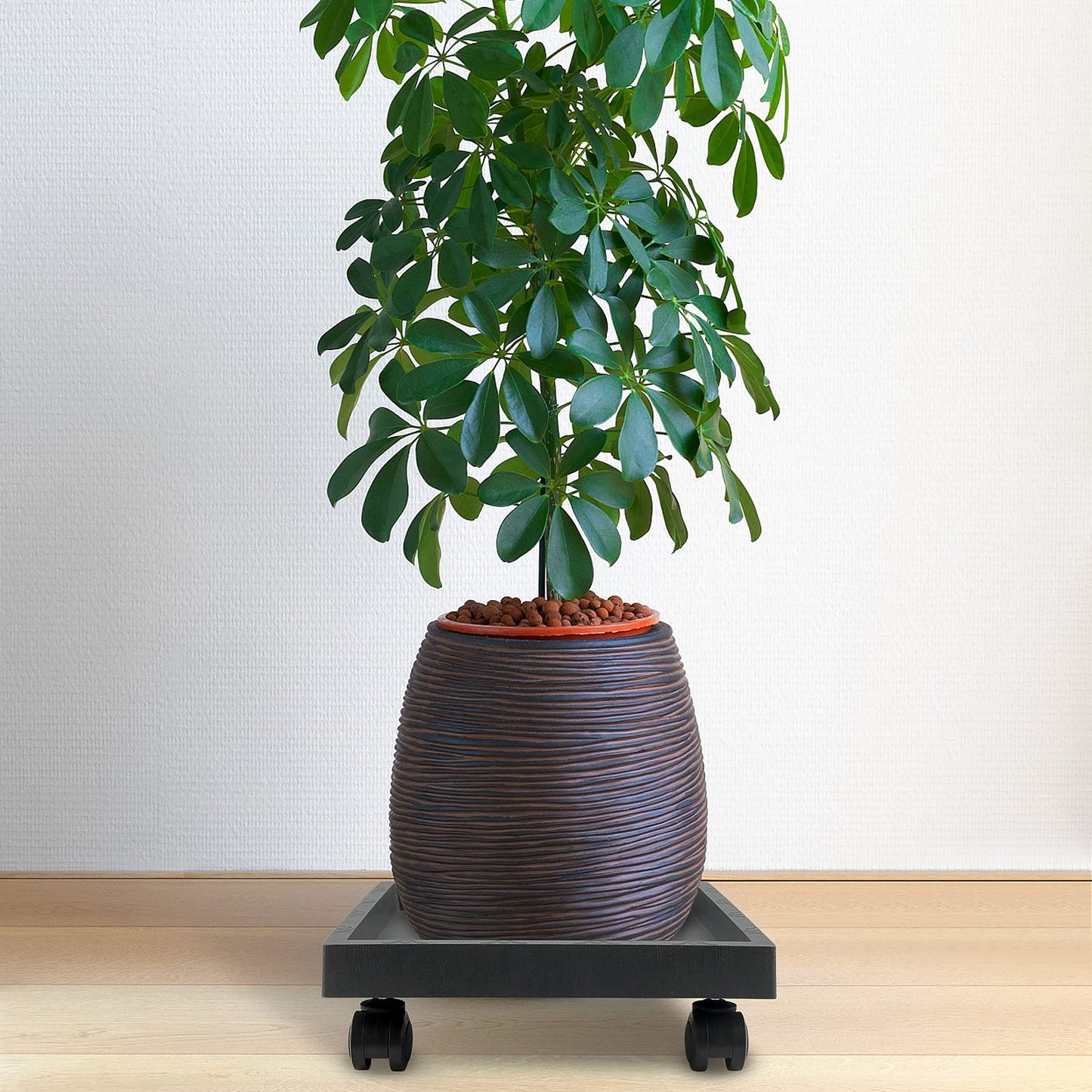 ZEONHEI 2 Packs 10 Inch Square Plant Caddy with Wheels, Heavy Duty Plant Dolly Saucer with Wheels, Rolling Plant Stand Wheeled Planter Caddy Tray for Moving Potted Plants