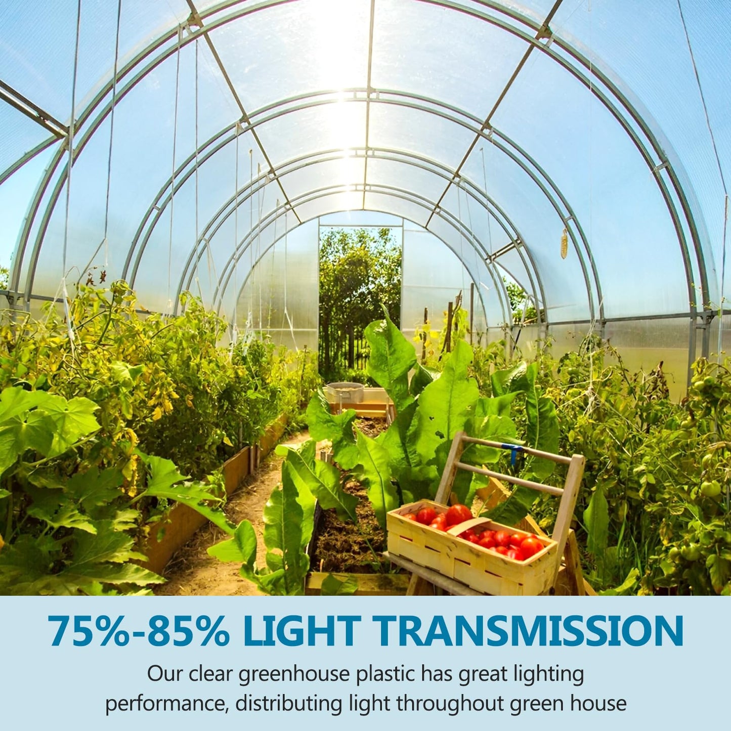 32.8Ft Polycarbonate Roofing Sheet, Transparent Insulation Polycarbonate Sheet for Gardening, Farming, Canopy, Easy to Cut, UV Resistant Greenhouse Clear Film, Green House Plastic Covering