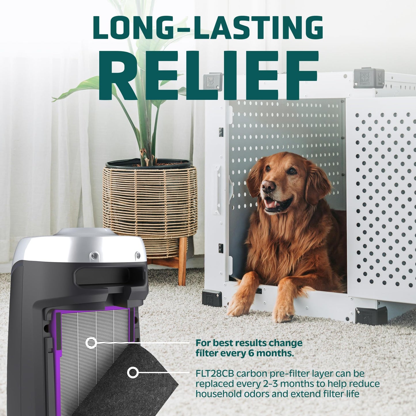 GermGuardian Filter C Pet Pure HEPA Genuine Air Purifier Replacement Filter, Removes 99.97% of Pollutants, for AC5000, AC5250, AC5300, AC5350, CDAP5500, AP2800, Black/Purple, FLT5250PT