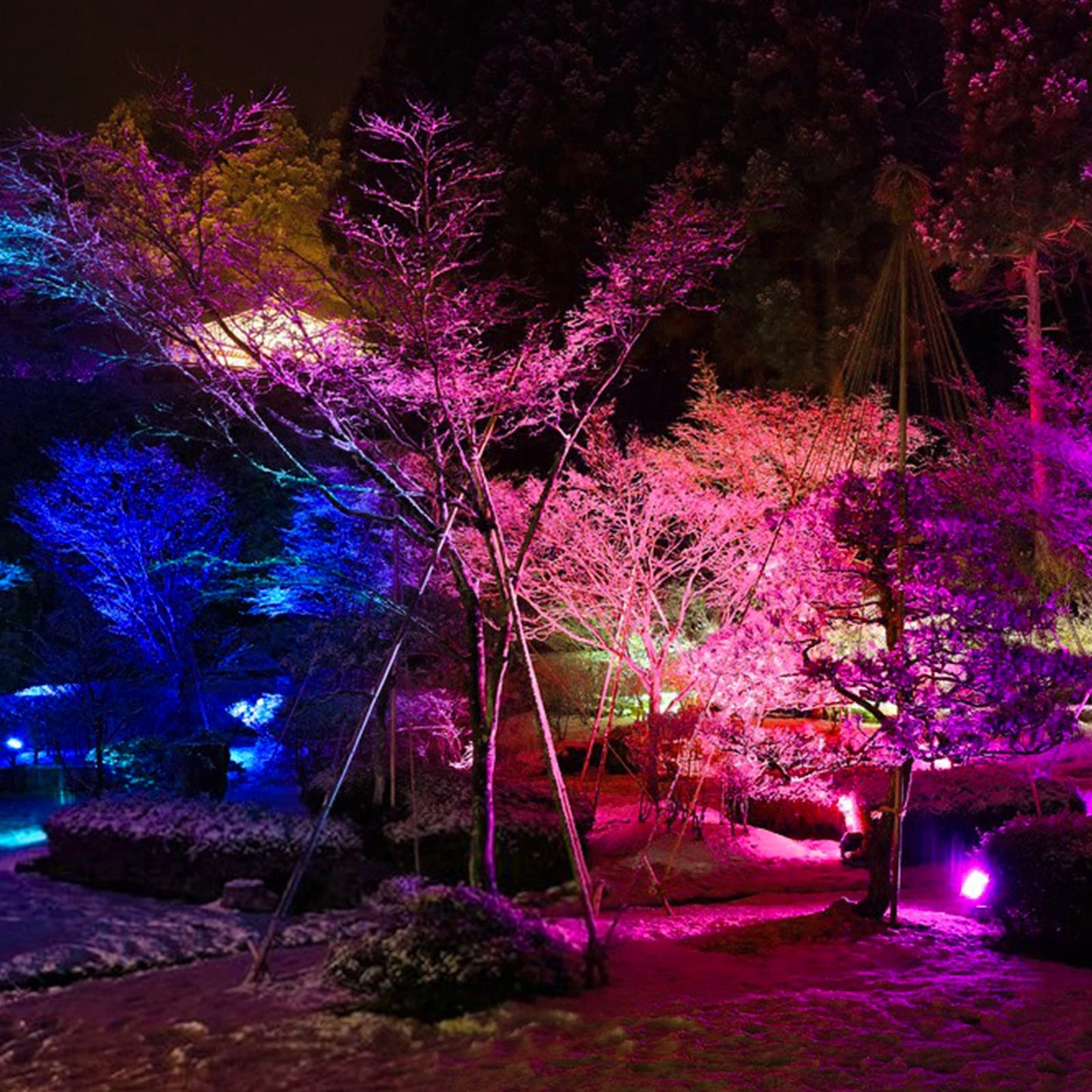 LED Flood Light Outdoor 800W Equivalent, Bluetooth Smart Color Change Landscape Lighting, DIY-Scene+RGB Colors+Warm White 2700K - APP & Group Control & Timing, IP66 Waterproof Up Light 2Pack