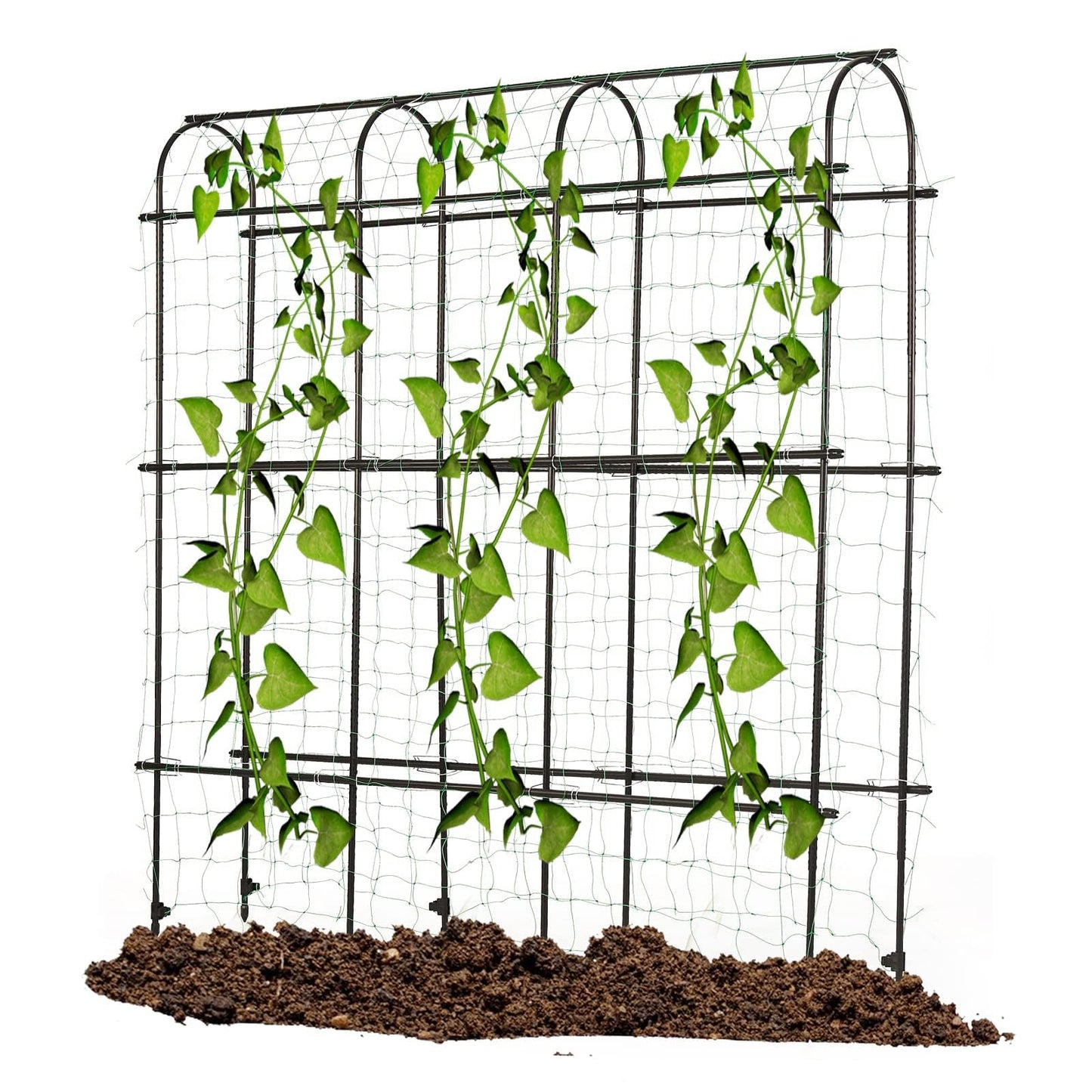 6ft x 6 ft Cucumber Trellis, Metal Garden Arch Trellis for Climbing Plants Outdoor Support Fruits Grape Flowers Vines Vegetables Squash Pea Bea Cucumber Trellis Raised Bed, with Netting