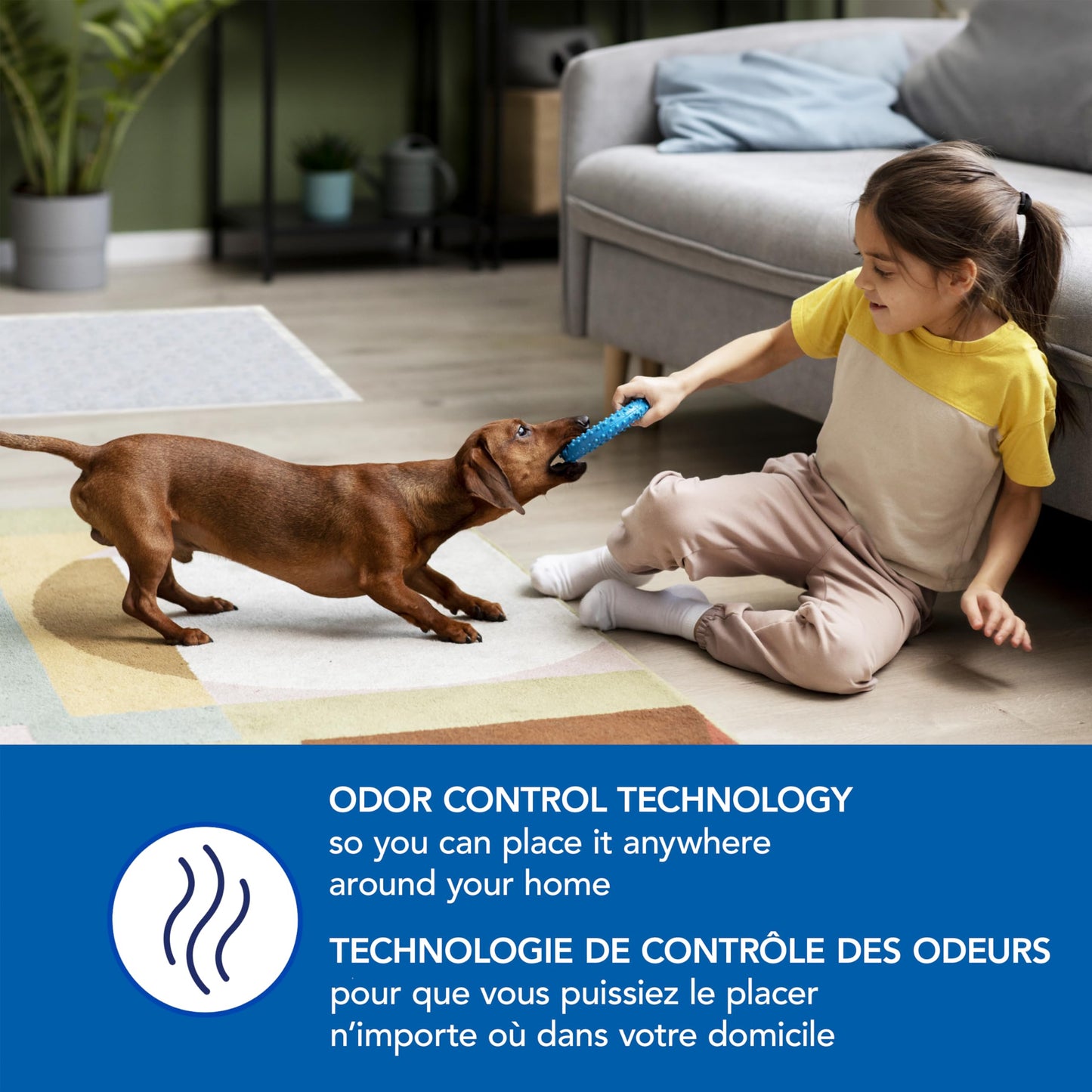 Scott Pet Guard Dog Pads - Dog Training Pee Pads for Puppies, Medium & Large Dogs - Up to 12 Hour Absorbent Odor Control - Easily Disposable Dog Pee Pads - Size XL - 30" x 36" - 40 Pack