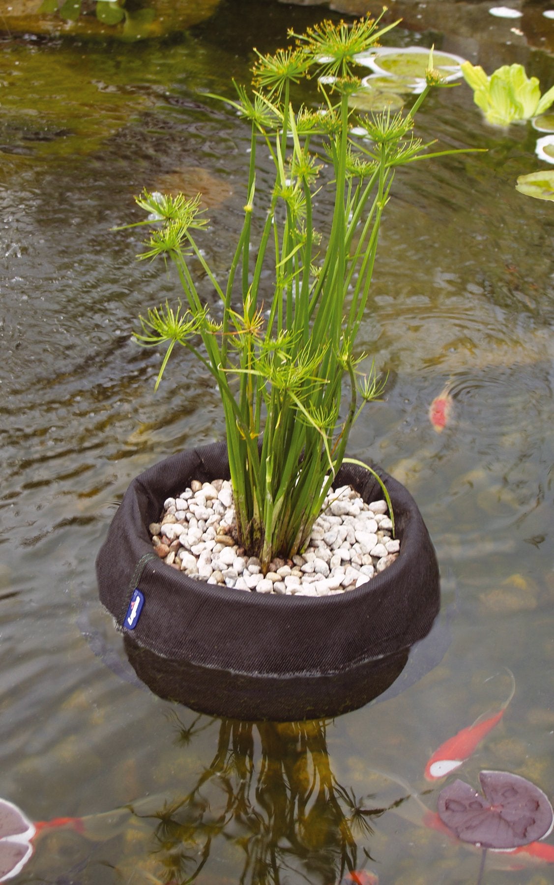 Laguna Floating Plant Basket Kit, 10" and 14", Black (PT979)