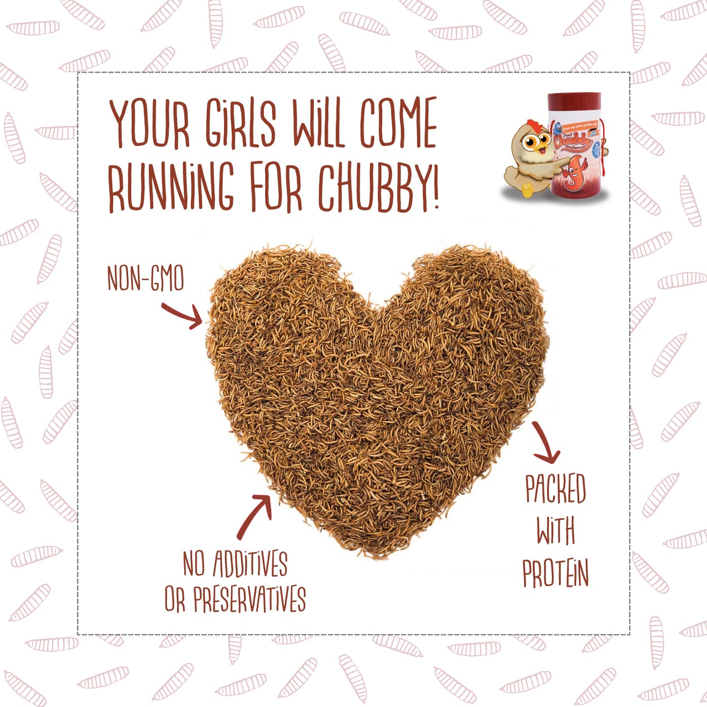 Chubby Dried Mealworms Premium Non-GMO Dried Mealworms for Chickens High Protein Chicken Feed Meal Worms for Wild Birds 3Lb