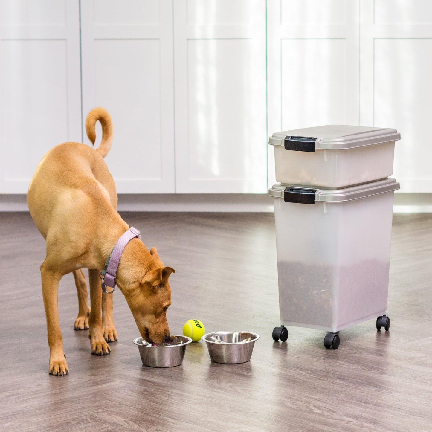 IRIS USA Airtight Dog Food Storage Container Combo, 30 lb + 11 lb Stackable Pet Food Bins with Wheels, Cat Food & Dog Treat Storage, BPA Free, Includes 2-Cup/450 g Scoop, Chrome