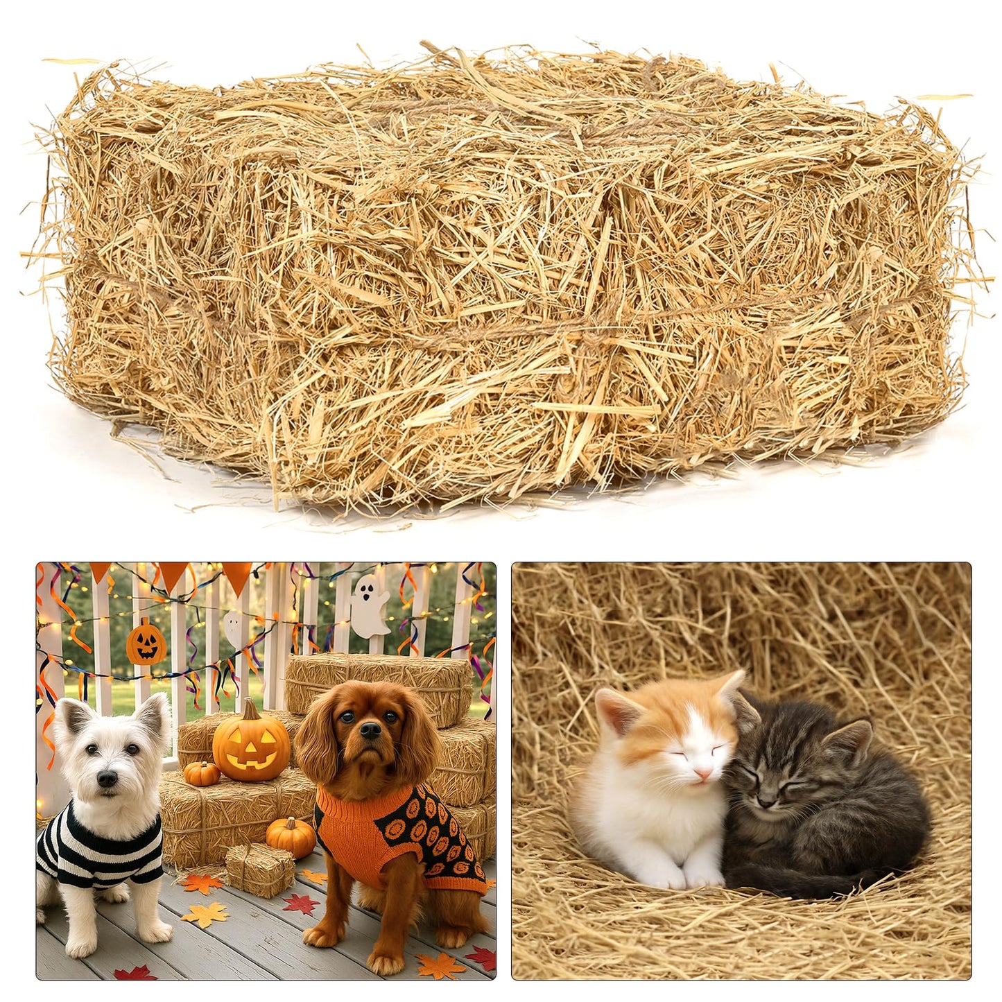 100% Natural Straw Bedding for Cats– 5 LB Dry Straw, Soft & Biodegradable Bedding for Winter Cat Shelters, Feral Cat Houses & Pet Warmth