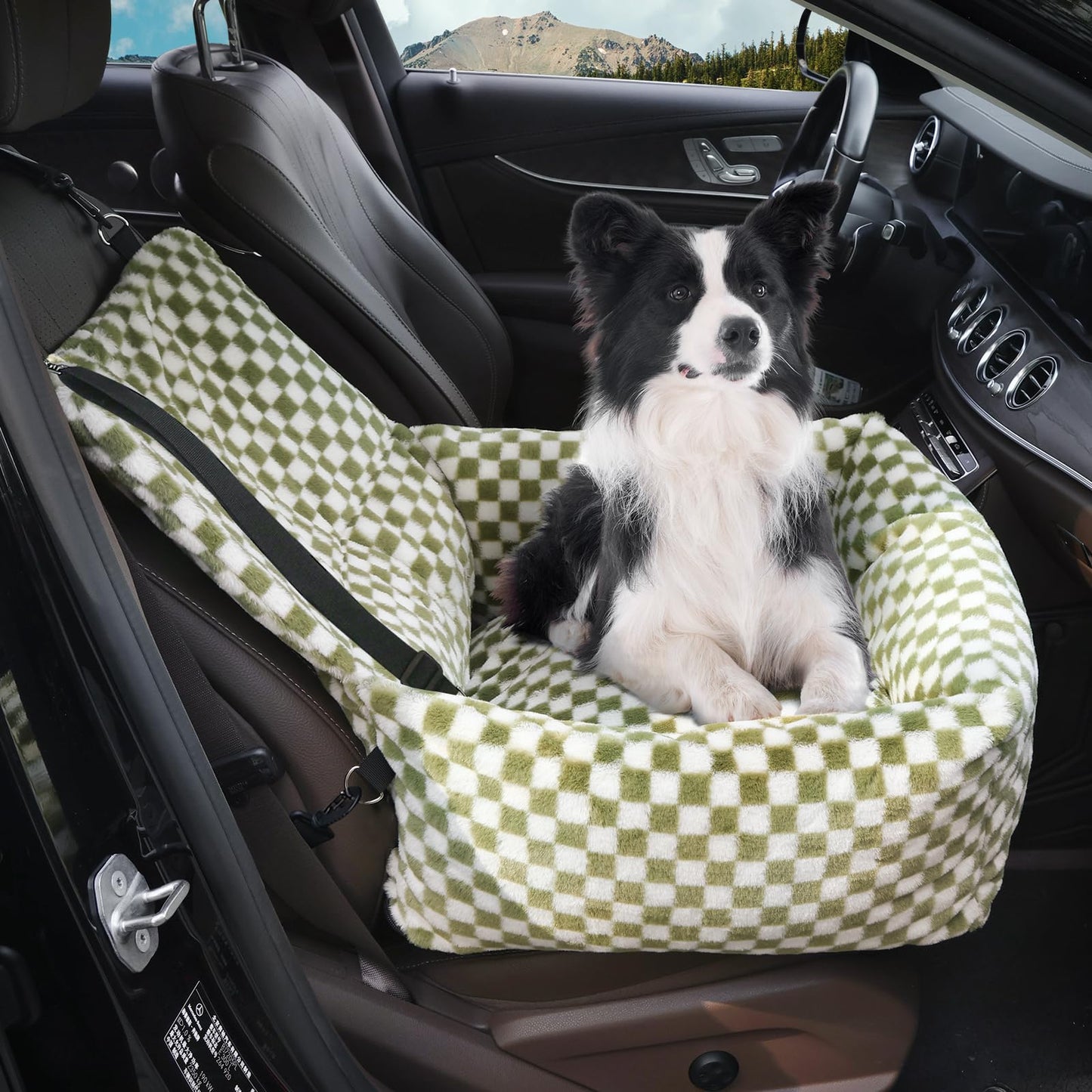 2-in-1 Dog Car Seat for Small Medium Dogs,Detachable Washable Dog Booster Car Seat with Thick Cushion for Dogs Up to 30lbs,Comfortable Soft Dog Bed for car with Safety Belts,Green