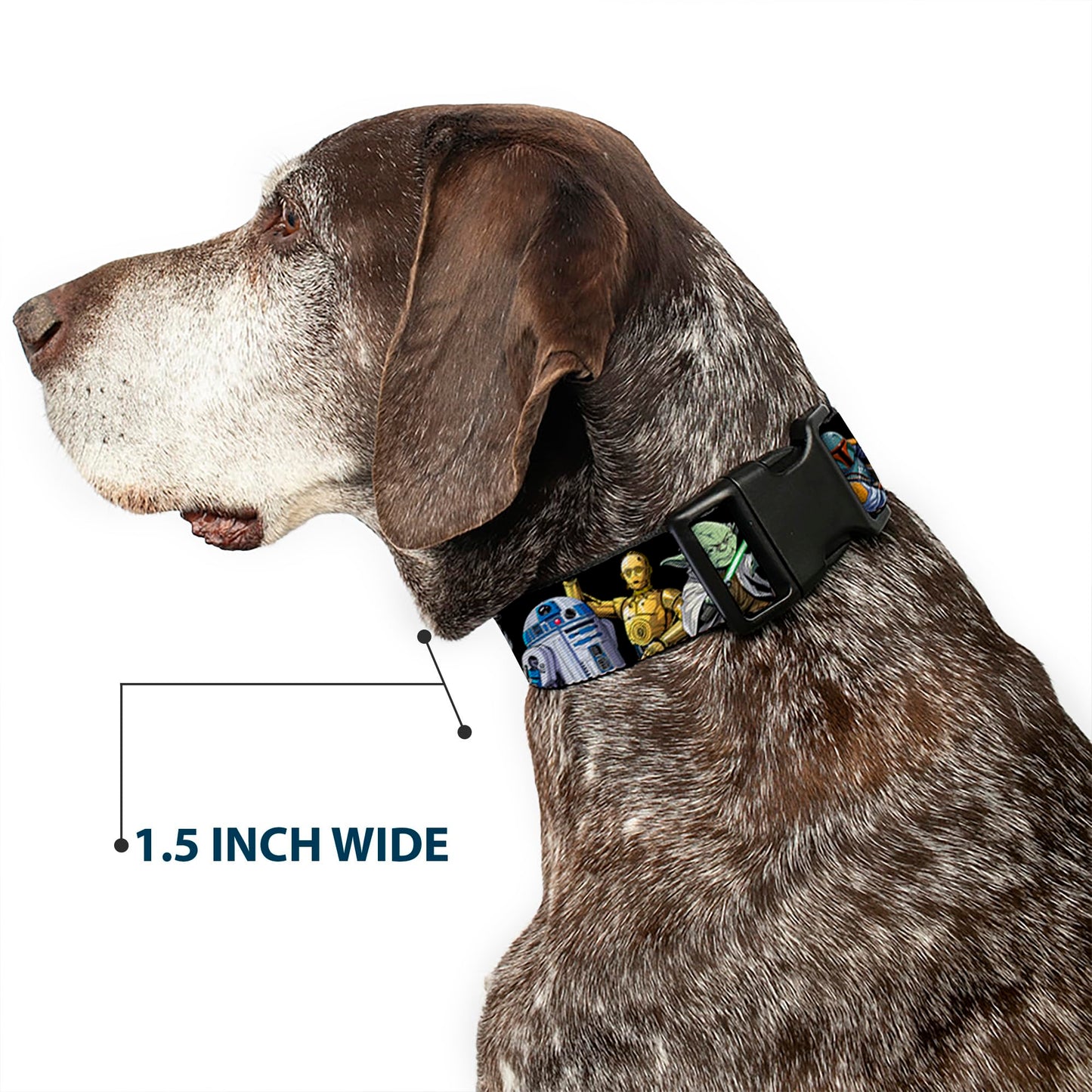 Star Wars Pet Collar, Dog Collar Plastic Buckle, Star Wars Classic Character Poses Black, 8.5 to 12 Inches 0.5 Inch Wide