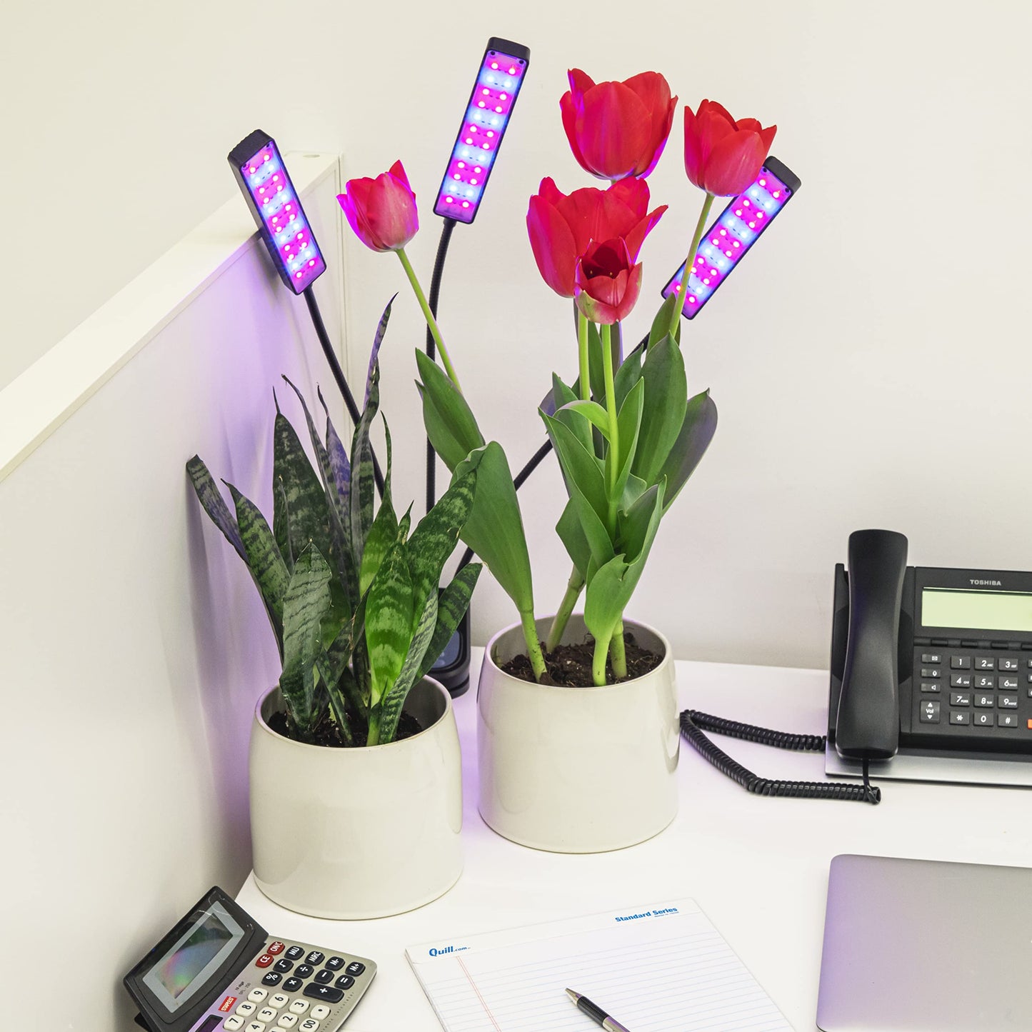 Bell+Howell Growburst 24” Indoor Plant Growing Lamp with 8 Brightness Settings, 3 Light Modes Including Full Spectrum UV Light As Seen On TV