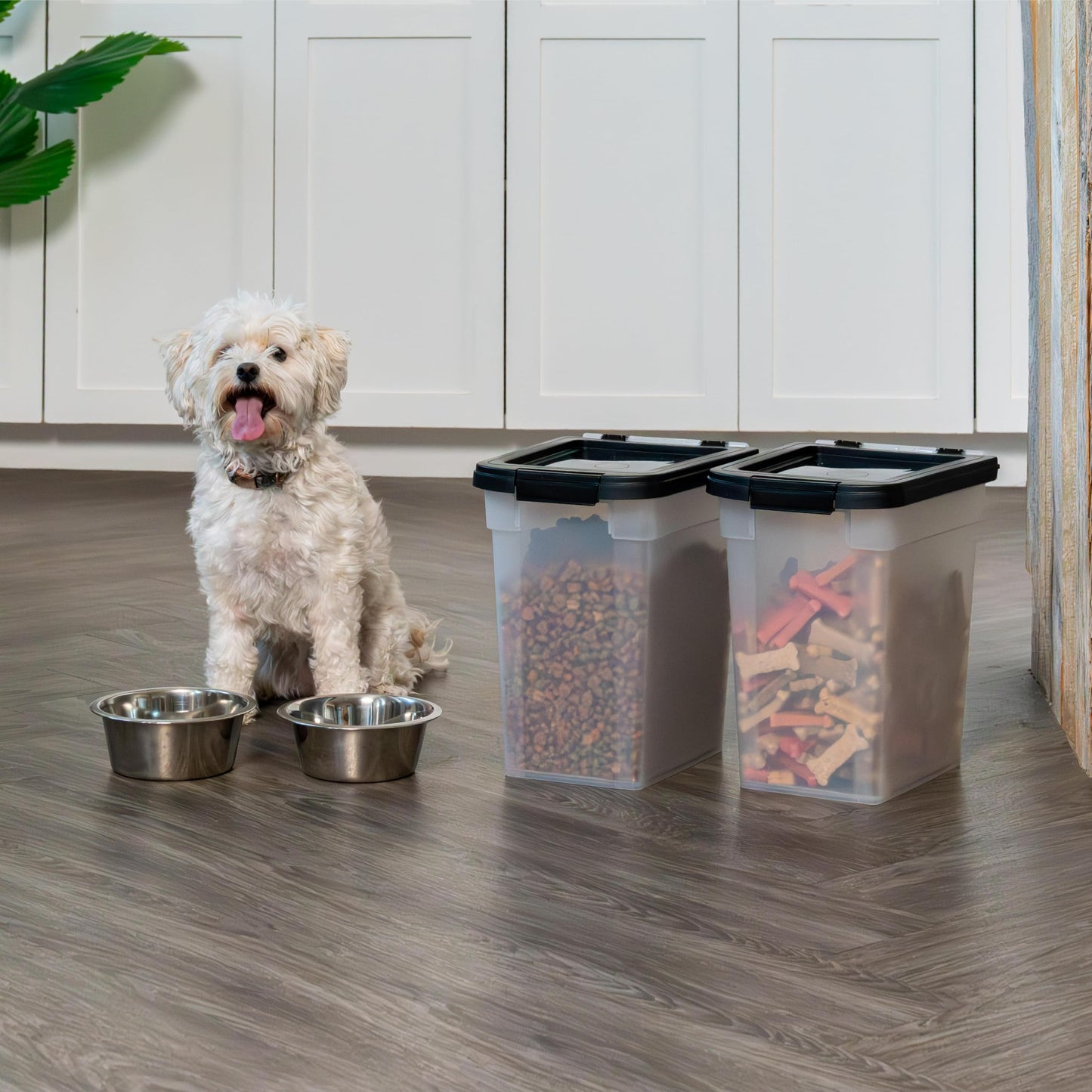 IRIS USA WeatherPro Airtight Dog Food Storage Container, Up to 4.5 Kg Each, 2 Pack, for Dog Cat Bird and Other Pet Treat Food Storage Bin, Keep Fresh, Translucent Body, BPA Free, Clear/Black