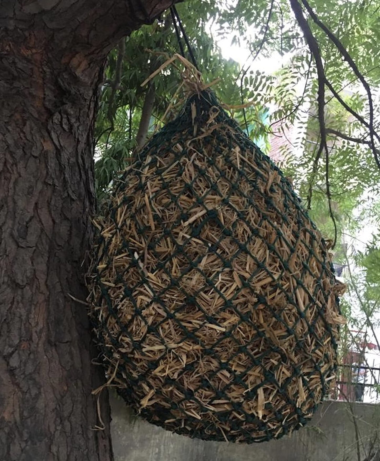 Majestic Ally 2 Pcs 1.25”x1.25” Holes Ultra Slow Feed 40” Very Sturdy Hay Net with Bottom Ring for Goat, Sheep and Livestock Simulatr grazing, Reduces Waste (Hunter Green)