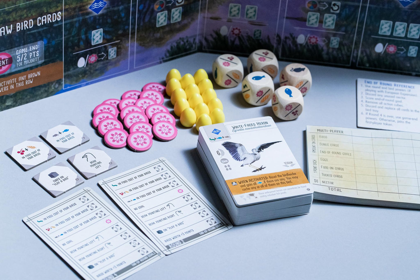 Board Game Wingspan: Oceania Expansion