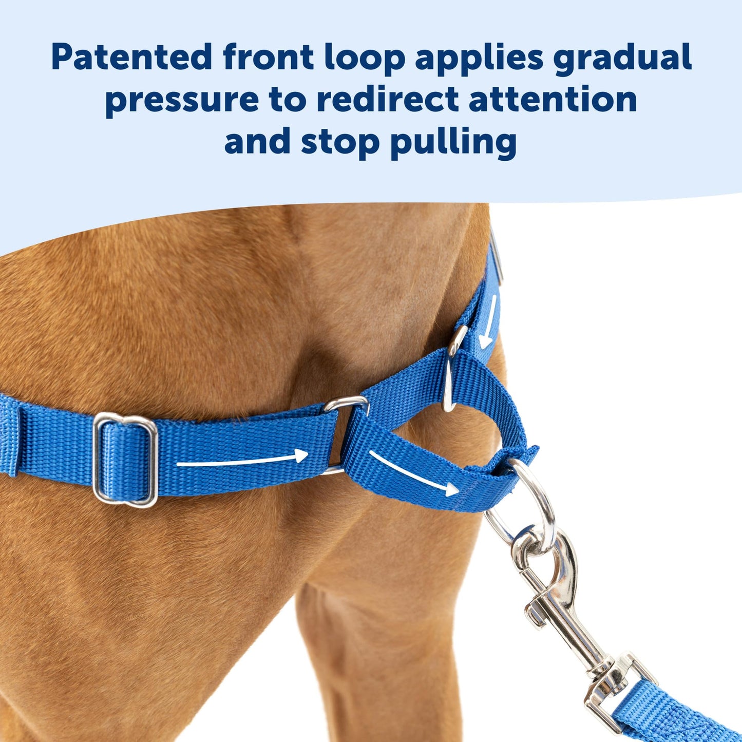 PetSafe Easy Walk Harness, No Pull Harness for Dogs, Adjustable Harness with Included Matching Lead Black Medium