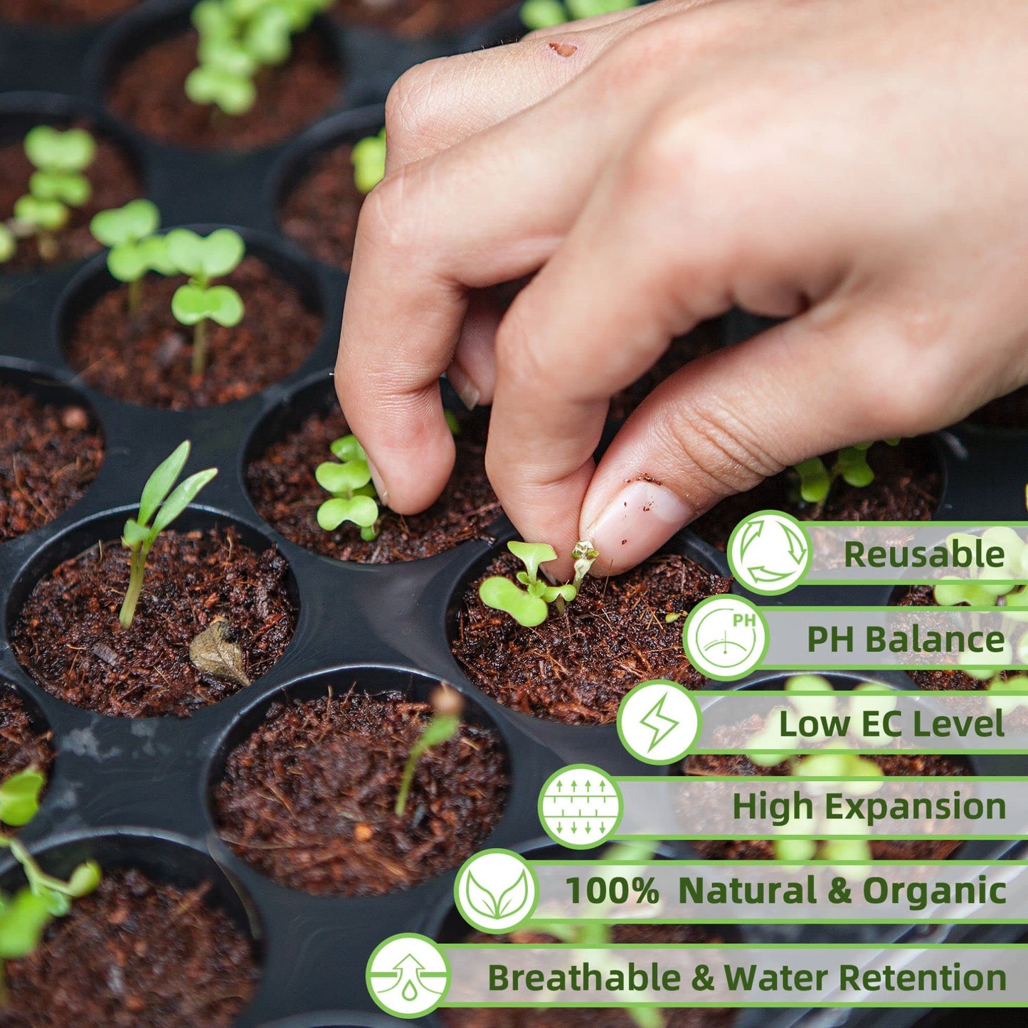 9 Pack Coco Coir Bricks for Plants, 100% Natural Organic Compressed Coconut Fiber, pH Balanced & Low EC, High Nutrient Coco Soil for Herbs & Gardening