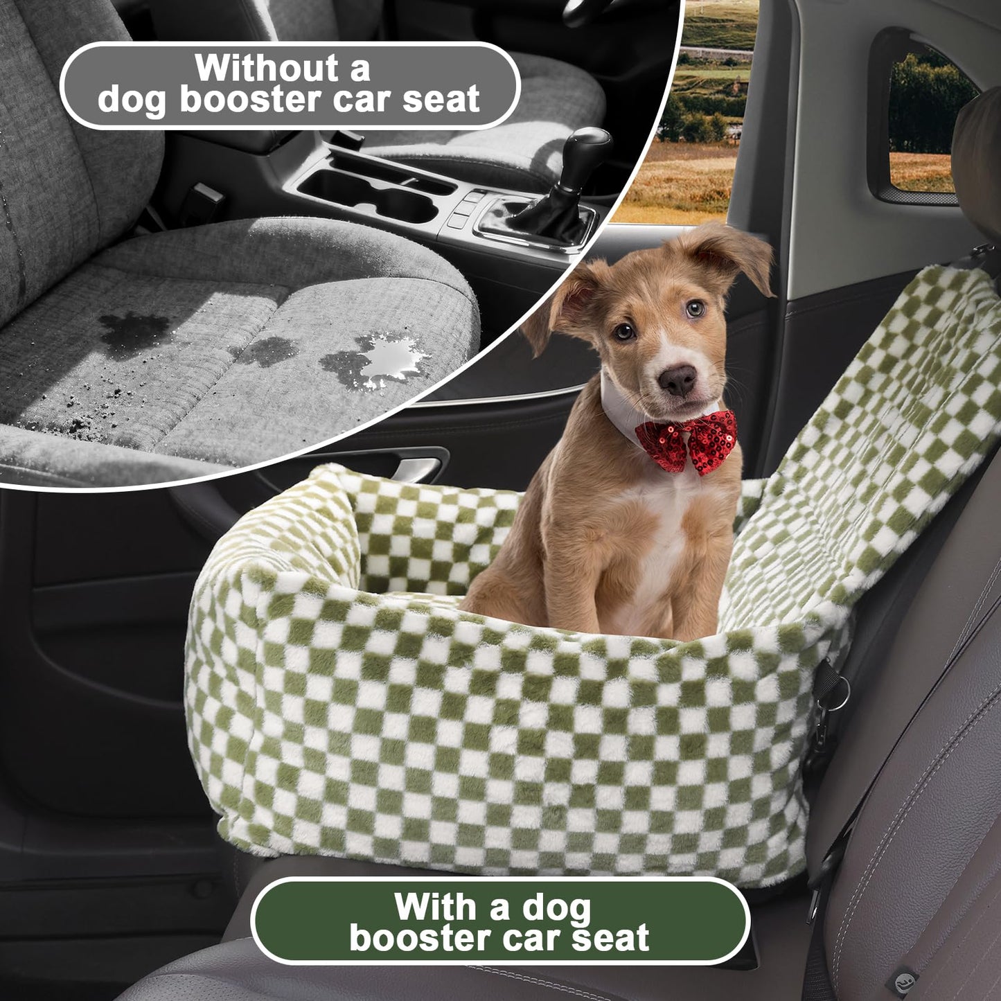 2-in-1 Dog Car Seat for Small Medium Dogs,Detachable Washable Dog Booster Car Seat with Thick Cushion for Dogs Up to 30lbs,Comfortable Soft Dog Bed for car with Safety Belts,Green