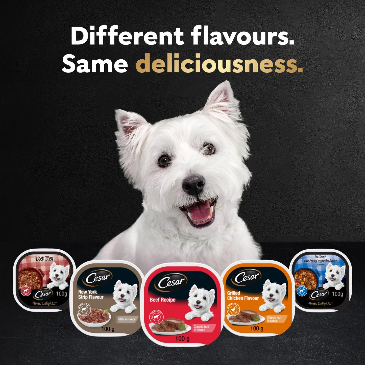 CESAR Home Delights Wet Dog Food - Slow Cooked Chicken & Vegetables Dinner in Sauce - 100g (24 Pack)