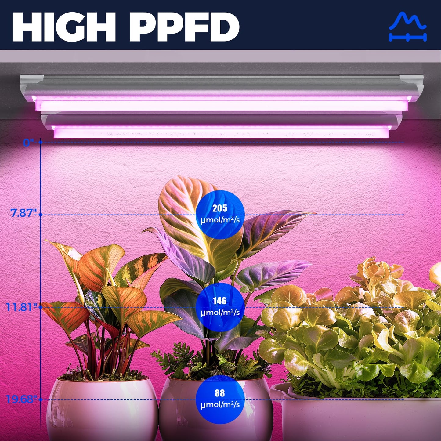 Barrina Full Spectrum LED Grow Light, 144W(6 x 24W, 800W Equivalent), 2FT T8, High Output, Linkable Design, Led Growing Lamps, Plant Lights for Indoor Plants Hydroponic, 6-Pack