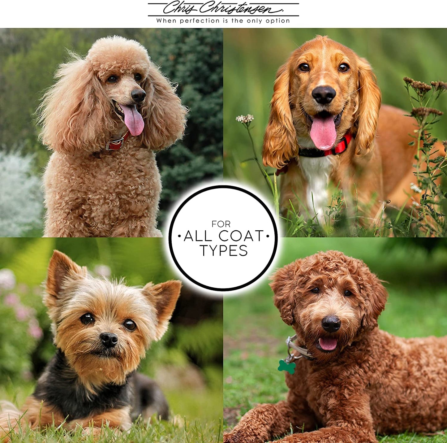 Chris Christensen Day to Day Ultra Concentrated Dog Shampoo, Makes up to 8 Bottles, Groom Like a Professional, Moisturizing, All Coat Types, for Daily Use, Made in USA, 16oz