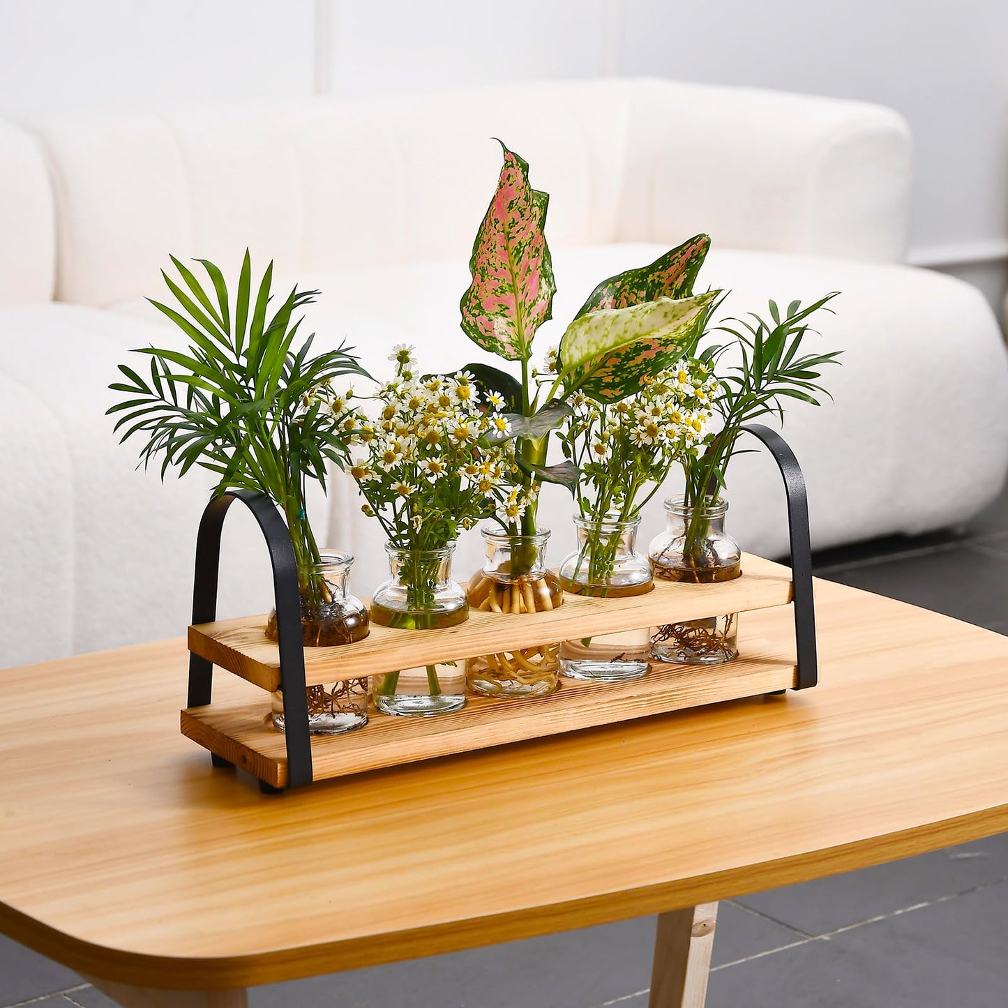 VIKEYHOME Plant Propagation Station with Wood Stand, Desktop Terrarium for Hydroponic, Flower Vase for Home, Kitchen, Office Decor, Plant Lover Gifts