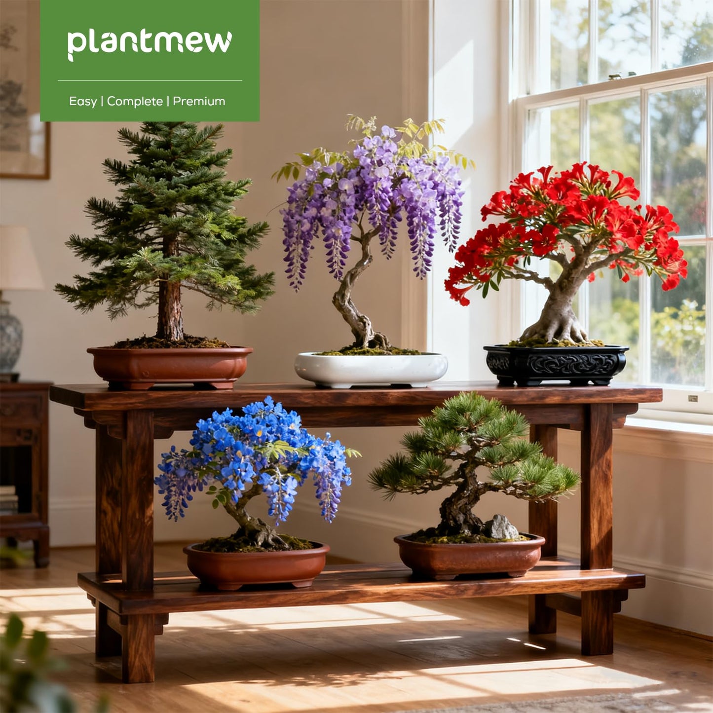 Crafts for Adults - Bonsai Tree Starter Kit with 5 Unique Japanese Trees | Complete DIY Gardening Kit for Birthday | Gifts for Women, Men, Mom, Dad, Plant Lovers
