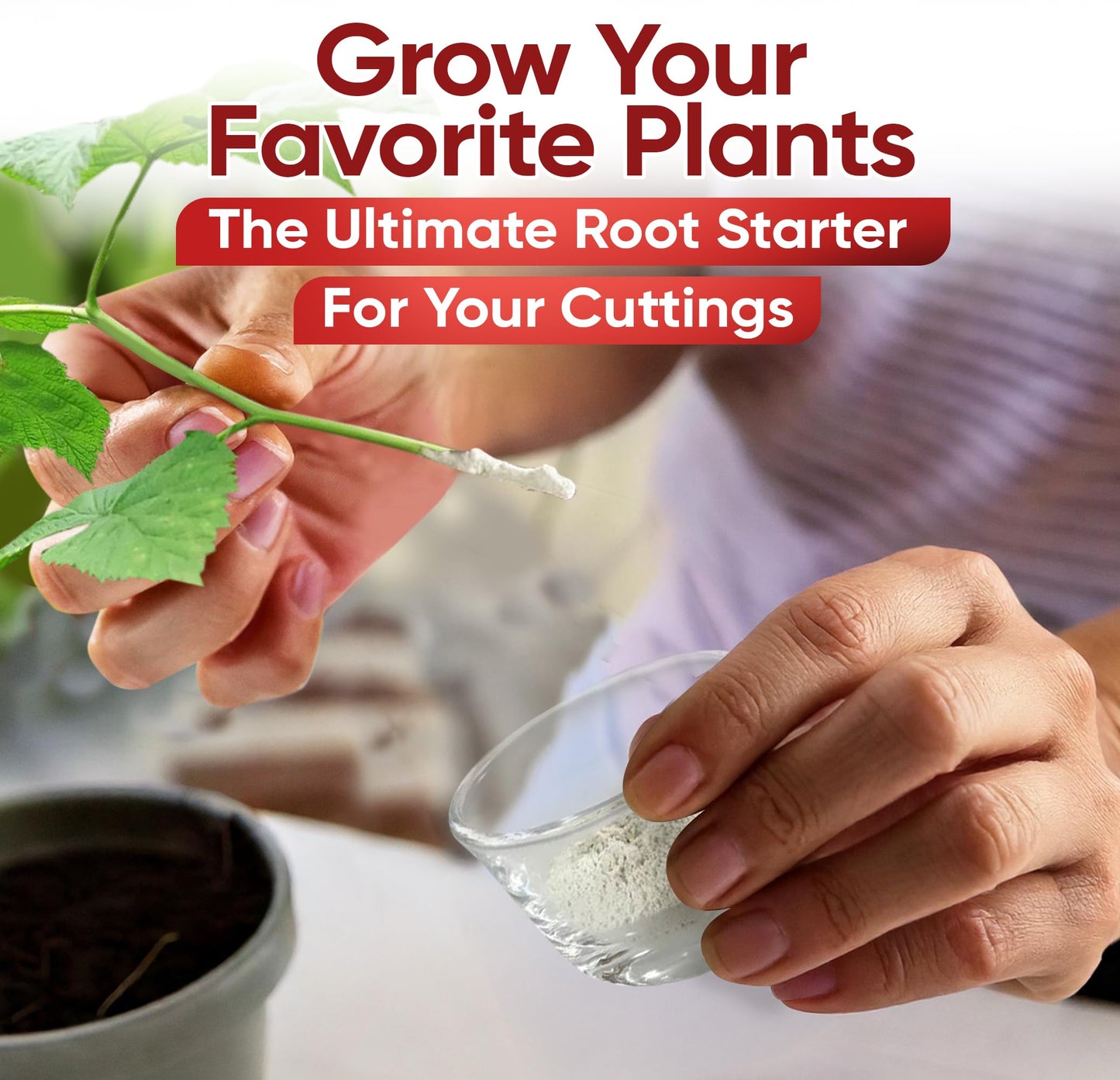 Hormex Rooting Hormone Powder #8 | for Moderately Difficult to Root Plants | Fastest IBA Rooting Powder Compound for Strong & Healthy Roots