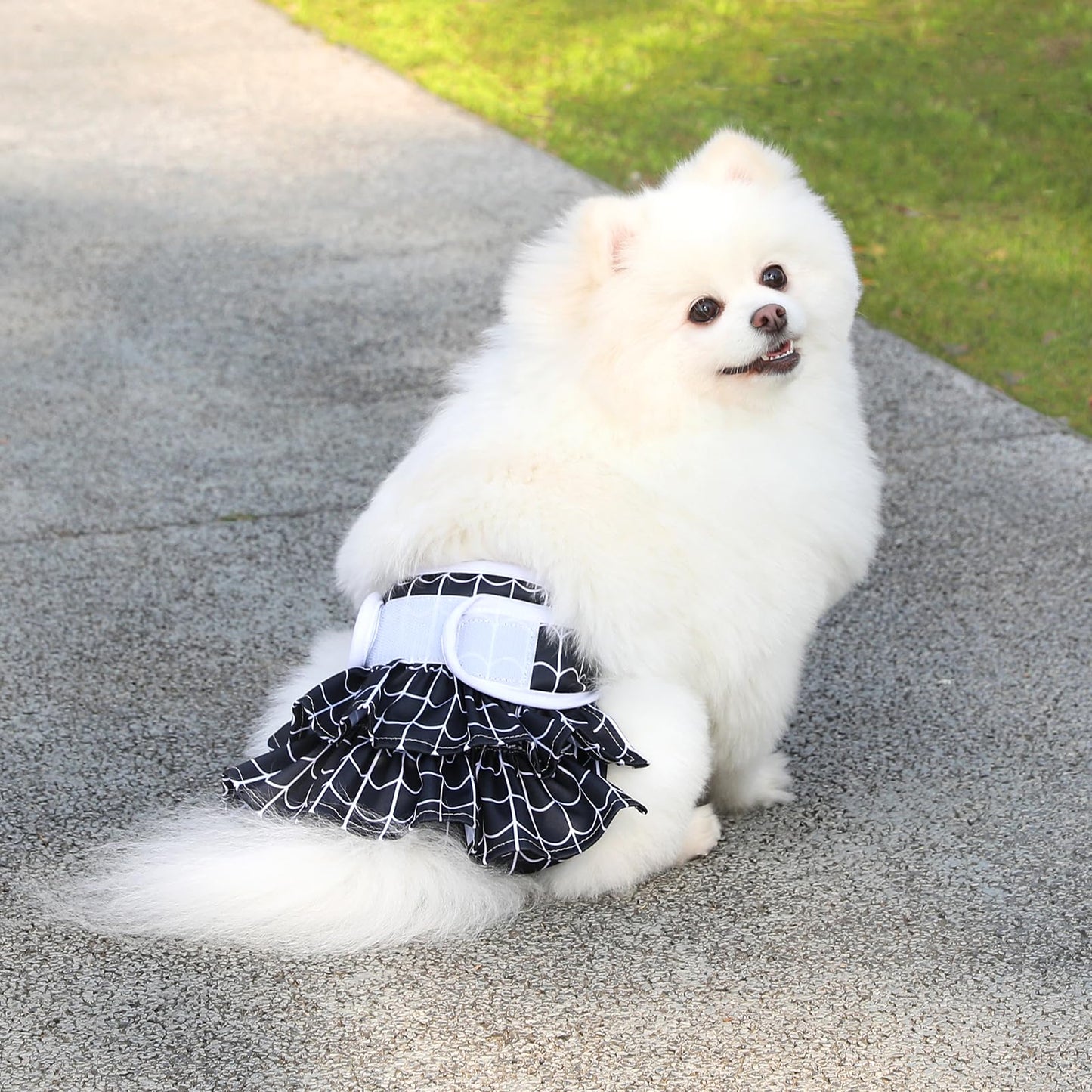 Reusable Dog Diapers Female 3 Pack Doggie Diapers for Period Heat Incontinence Puppy Training (Medium, Animal Print)