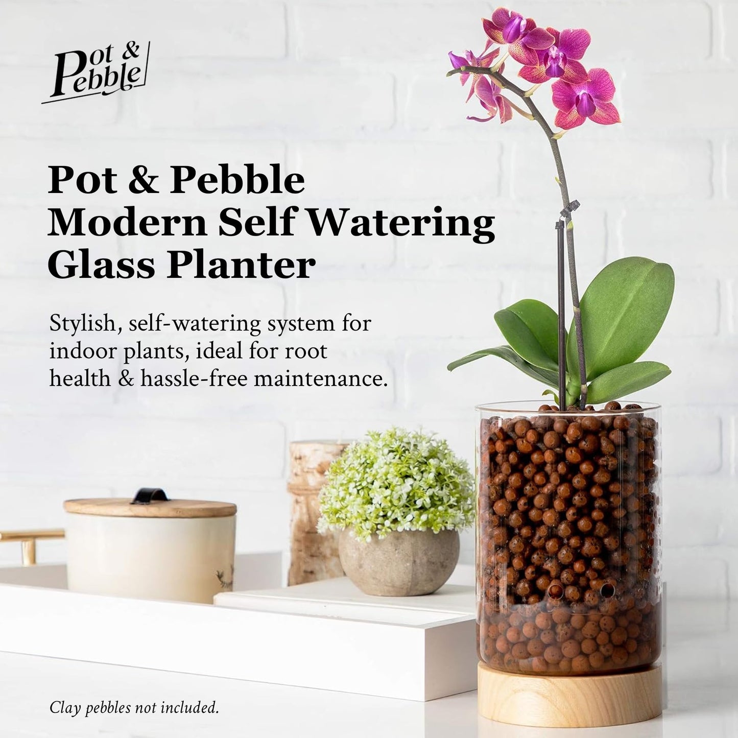 Pot & Pebble - C1 Glass Planter with Wooden Base - Plant Propagation Station with Holes for Water Level Control - Plant Cutting Holder for LECA Clay Pebbles/Similar Media - Semi Hydroponic Planter