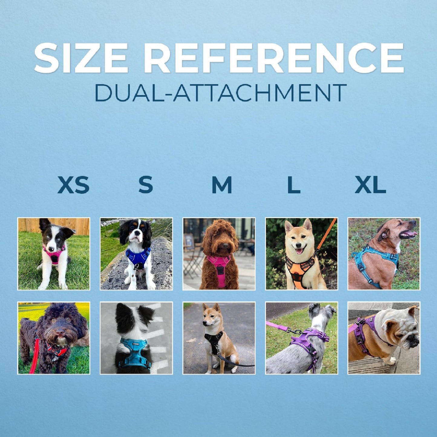 Best Pet Supplies Voyager Dog Harness Dual Leash Attachment No-Pull Control Adjustable Soft but Strong Pet Harness for Medium and Large Dogs with 3M Reflective Technology - Black, M (Chest: 20 - 25"), 211-BK-M