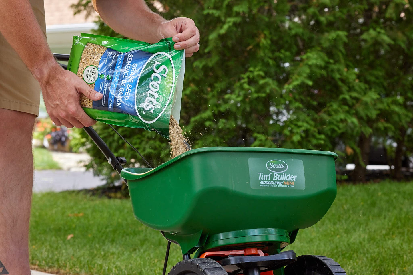 Scotts Grass Seed All Purpose Mix, 5kg (900 sq Meters / 9,683 sq feet Coverage) | Grows in Sun & Shade, Fast Germination | New Lawn or Overseeding Existing Lawn