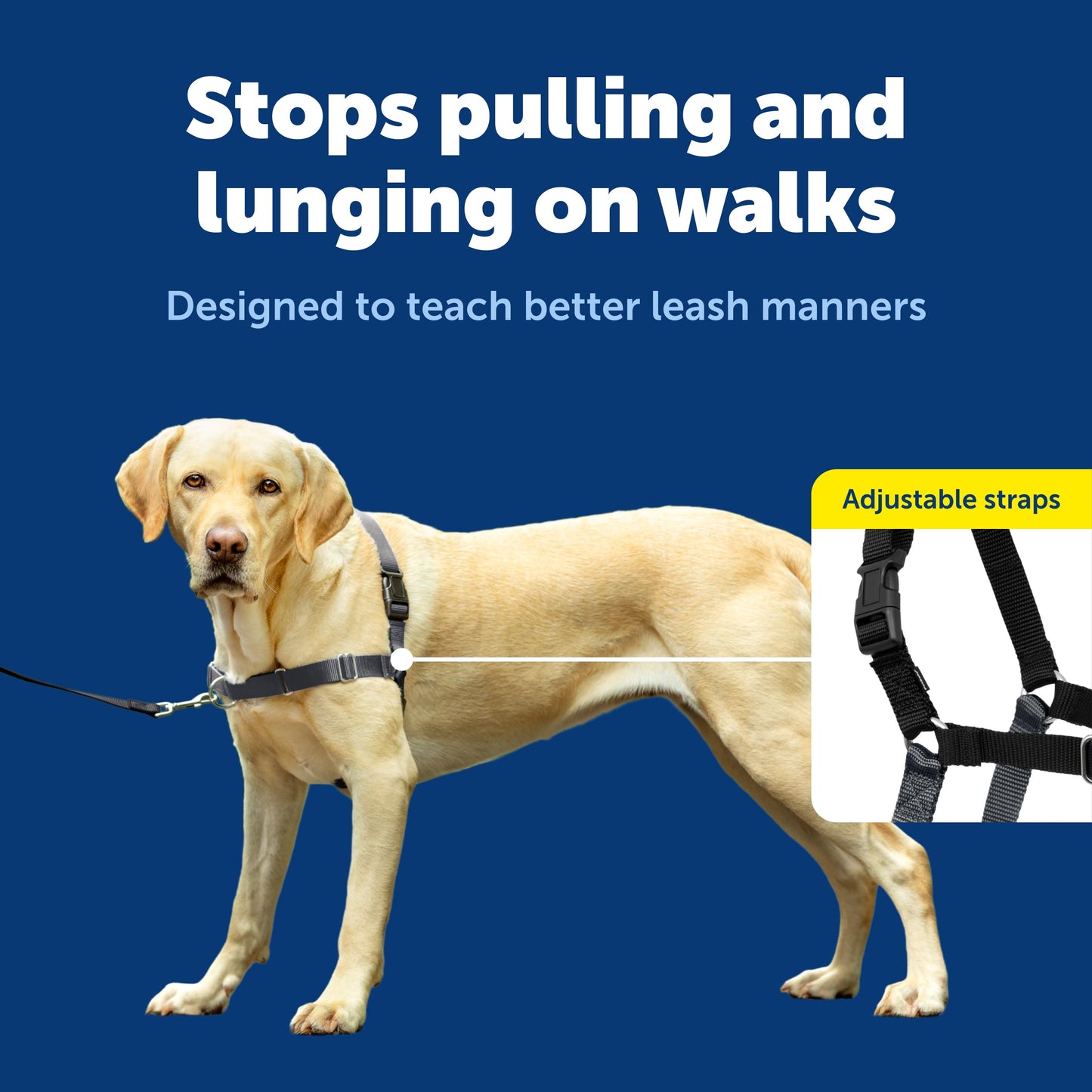 PetSafe Easy Walk No-Pull Dog Harness - The Ultimate Harness to Help Stop Pulling - Take Control & Teach Better Leash Manners - Helps Prevent Pets Pulling on Walks - Large, Charcoal/Black