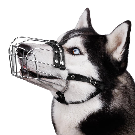 BRONZEDOG Dog Muzzle Adjustable Durable Metal Wire Basket for Large and Extra Large Dogs with Leather Straps Breathable, Drinkable, Training, Prevents Biting (Stainless Steel, Husky & Doberman)