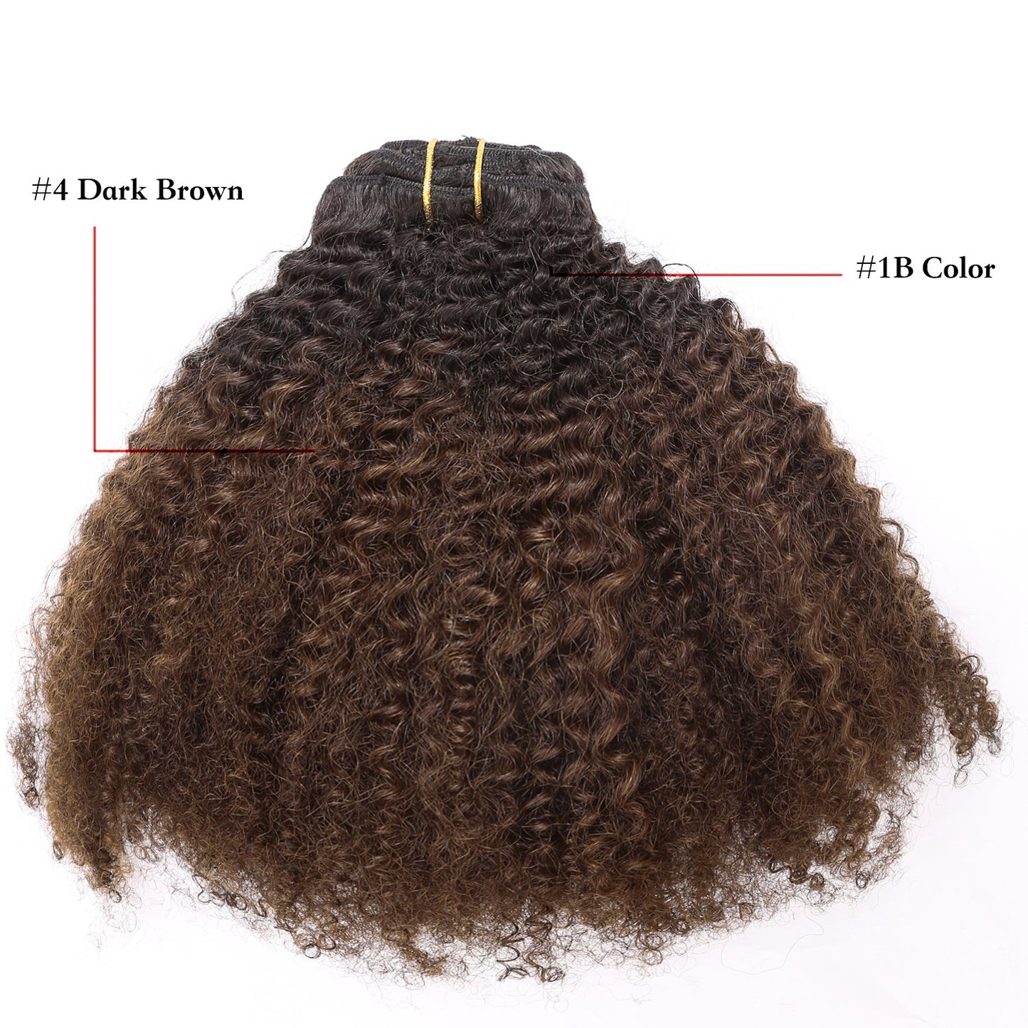 LacerHair Curly Clip in Remy Human Hair Extensions Afro Kinky Curly Clip ins 4B 4C 100% Natural Black Hair Extensions For Black Women with 17 Clips 120G Full Head10 inchT#1B/4 AC
