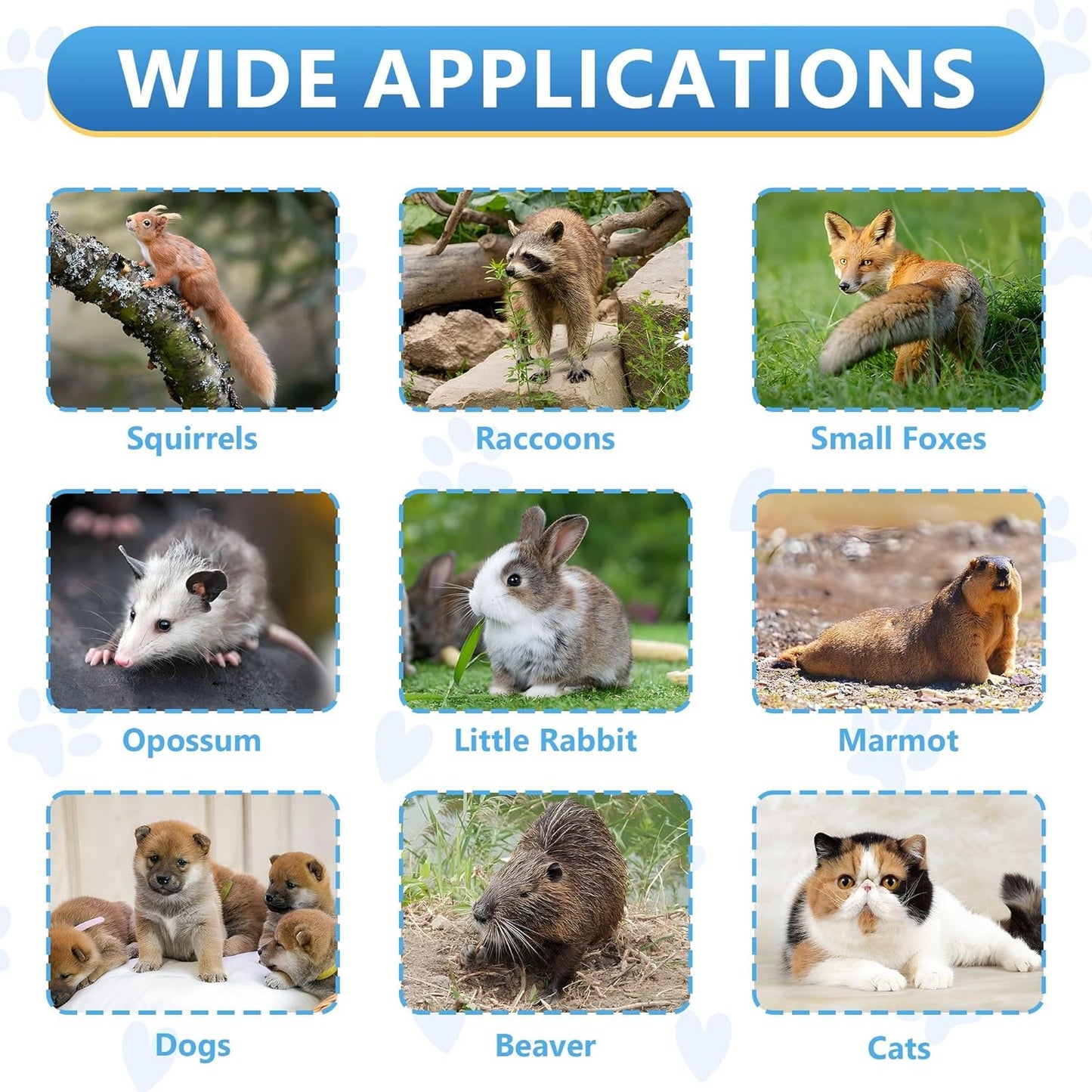 Live Animal Traps - 32" Humane Animal Trap for Stray Cats Raccoons, Squirrel, Skunk, Mole, Groundhog, Armadillo, Rabbit - Humane Rat Trap Indoor Outdoor