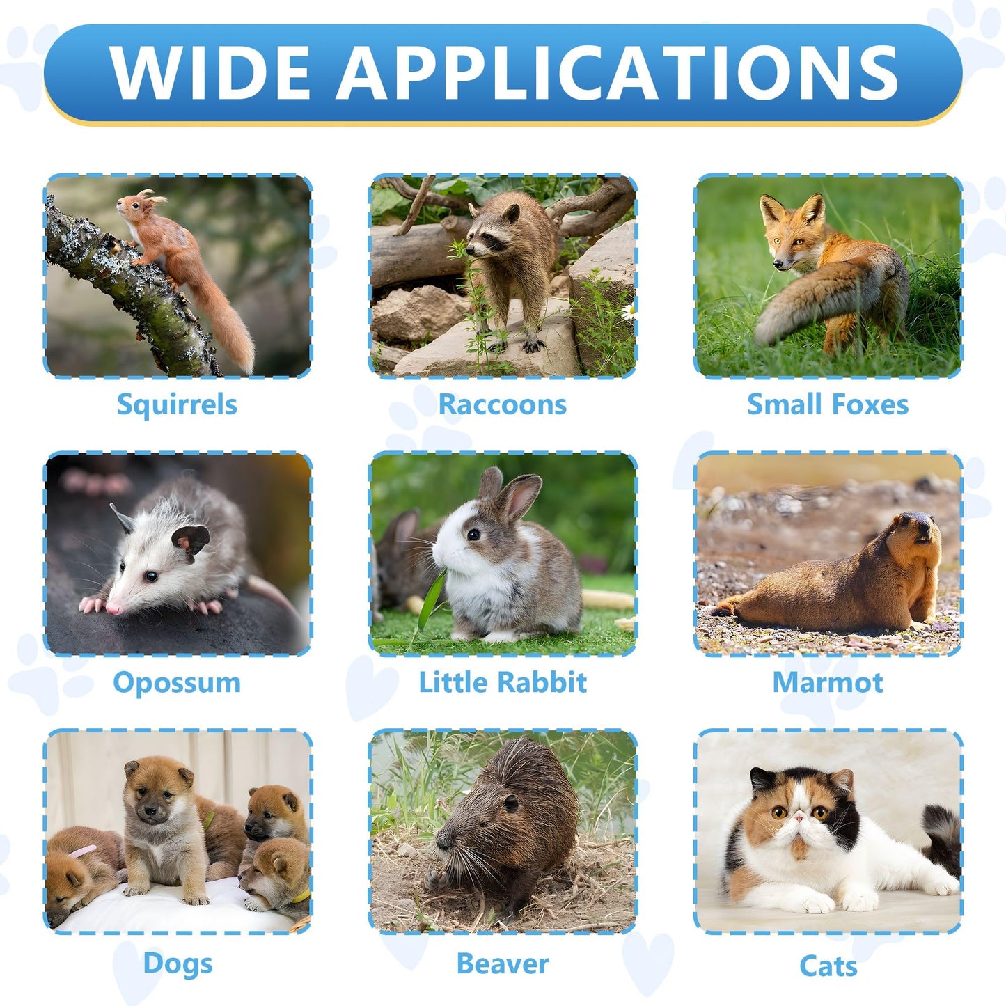 BTYCityMao Live Animal Traps - 32" Humane Animal Trap for Stray Cats Raccoons, Squirrel, Skunk, Mole, Groundhog, Armadillo, Rabbit - Humane Rat Trap Indoor Outdoor