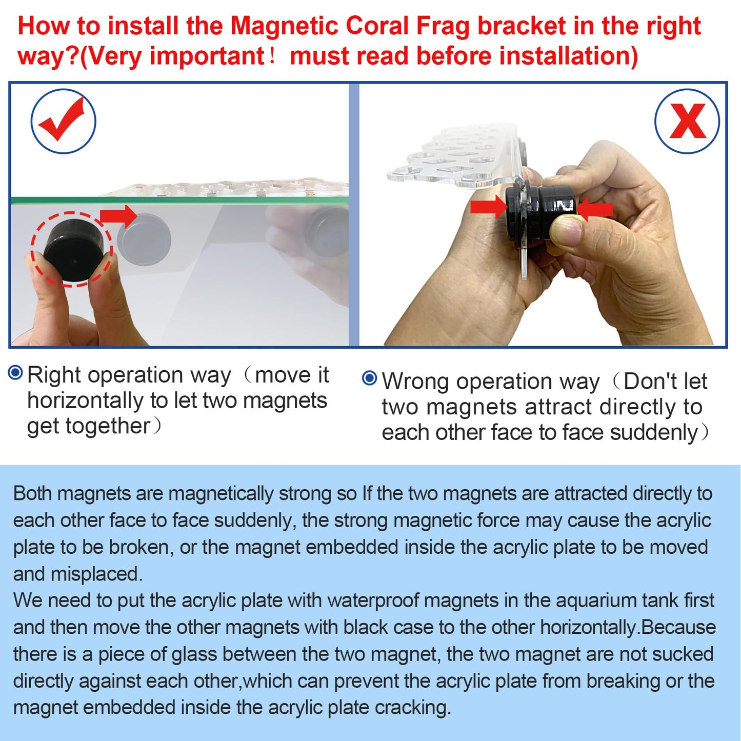 Aquarium Choice Coral Plug Holder Coral frag Rack Magnetic Holder Reef Magnets Holder for frag Rack (Coral Holder with 11 frag Plug)