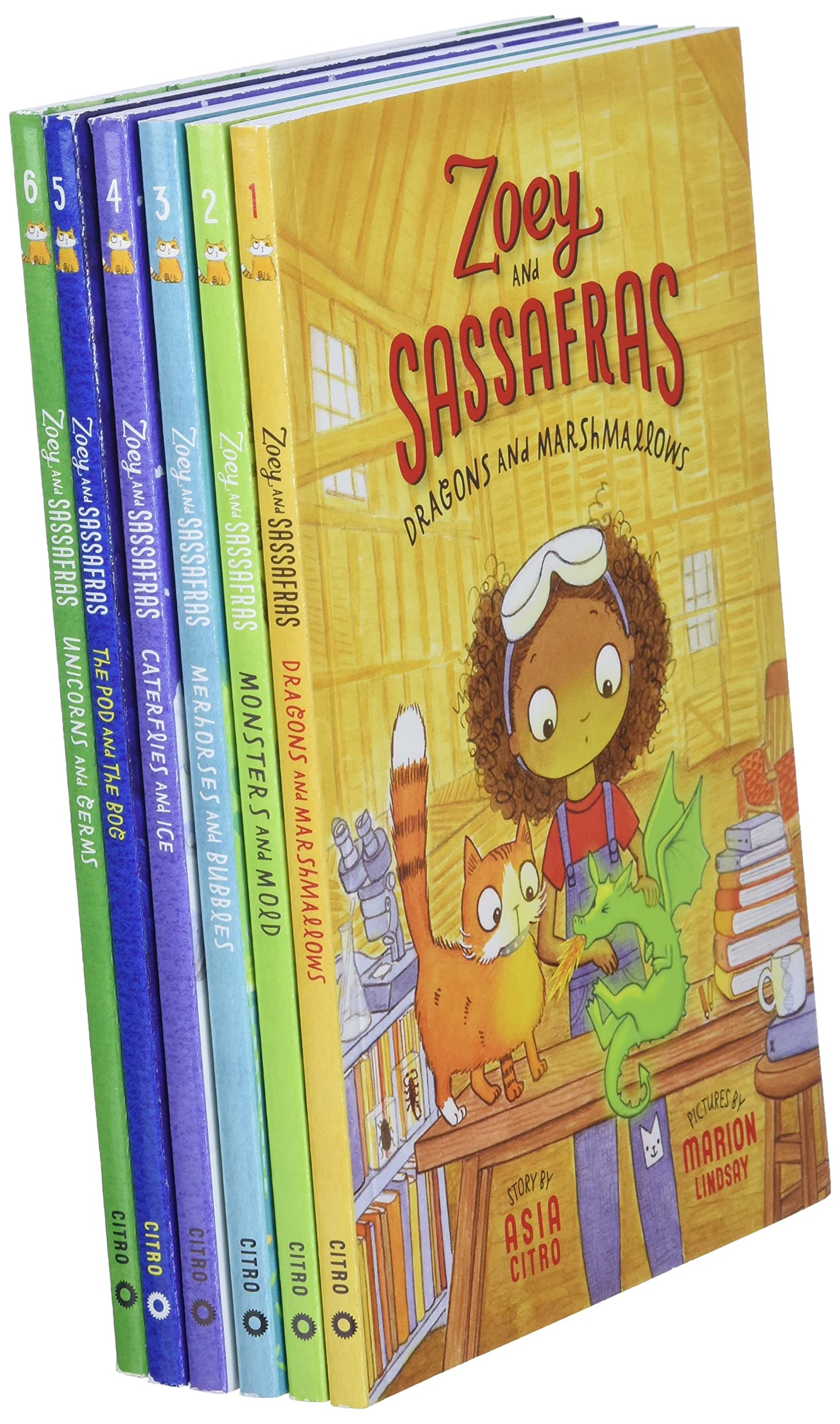 Zoey and Sassafras Books 1-6 Pack