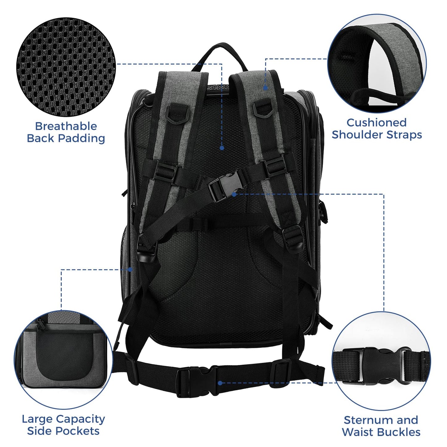 Apollo Walker Pet Carrier Backpack for Large/Small Cats and Dogs, Puppies, Safety Features and Cushion Back Support for Travel, Hiking, Outdoor Use