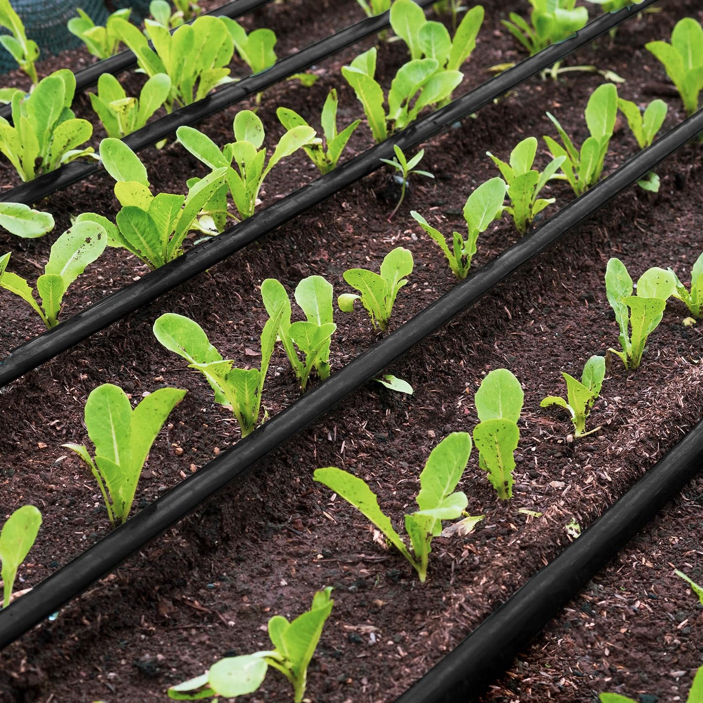 50 FT 1/2 Inch Drip Irrigation Tubing Kit-Drip Line Irrigation Hose 1/2 Inch with 1/2" to 1/4" Barbed Locked 6-Way & 1/2" Tee Connectors-Drip Tube Irrigation Fittings System Parts for Garden Watering