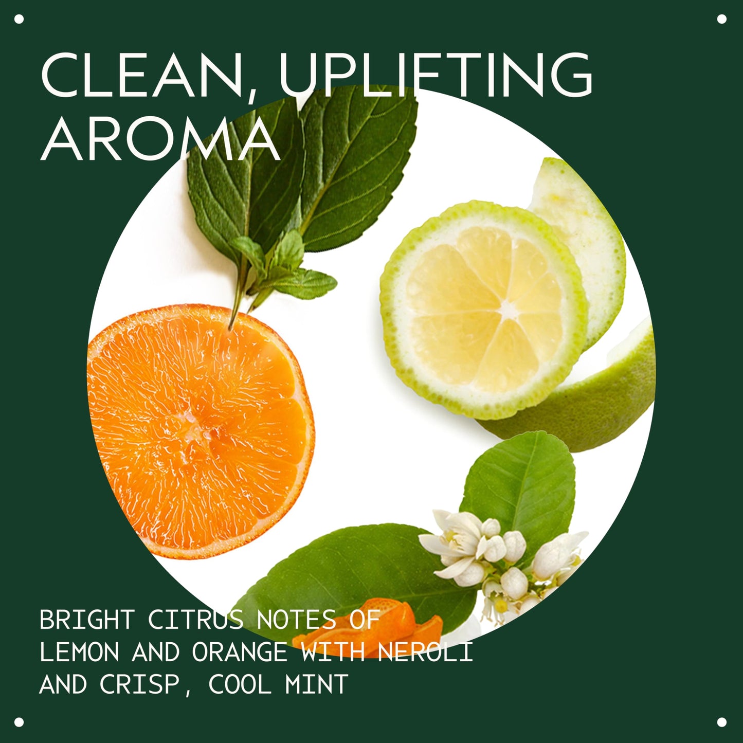 Aveda Scalp Solutions Replenishing Conditioner | Hydrates Hair & Scalp | for All Hair Types | Babassu & Moringa Oil | 98% Naturally Derived*, 200ml