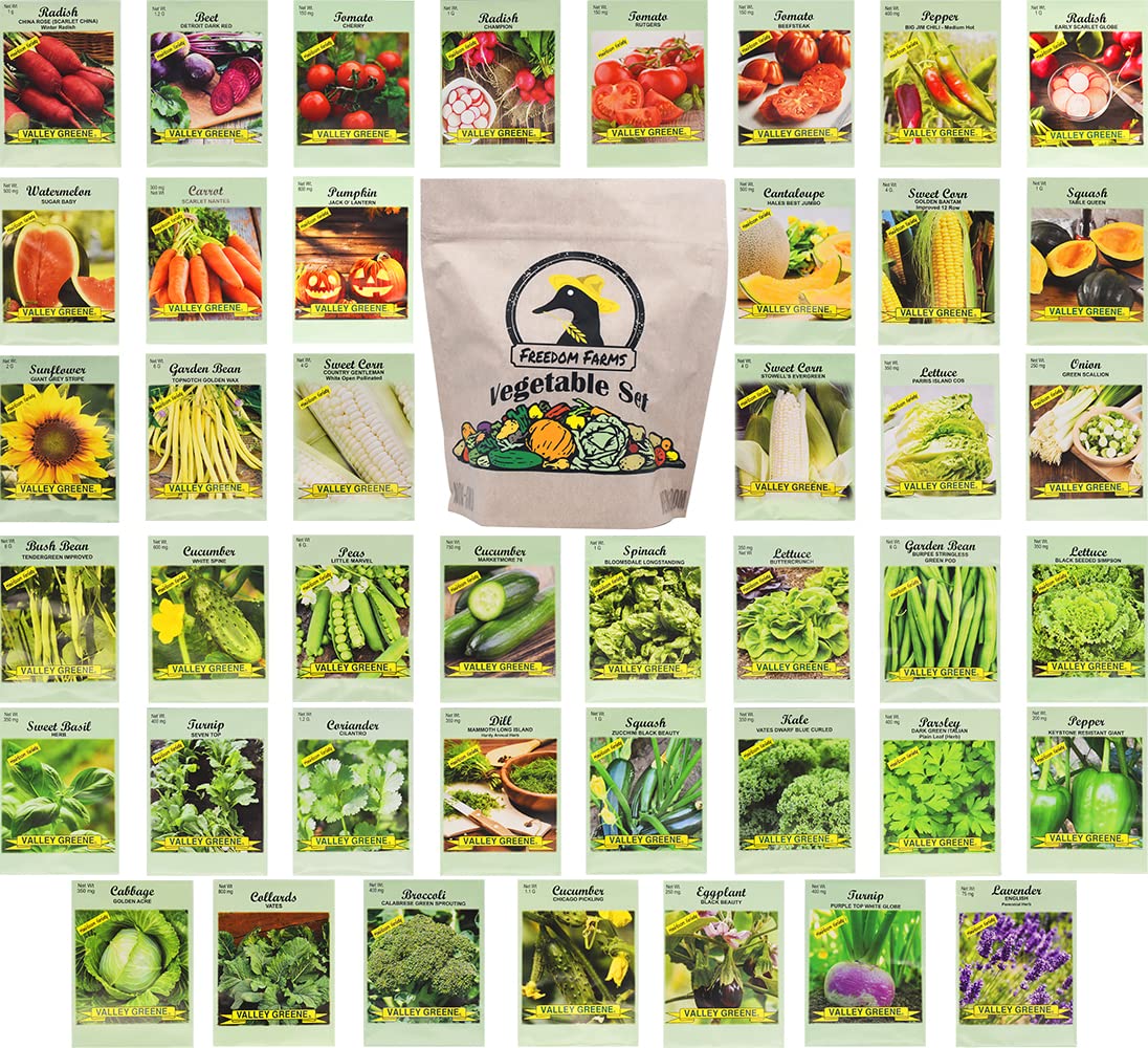 Set of 43 Assorted Vegetable & Herb Seeds 43 Varieties Create a Deluxe Garden All Seeds are Heirloom, 100% Non-GMO! by Black Duck Brand Assorted Varieties