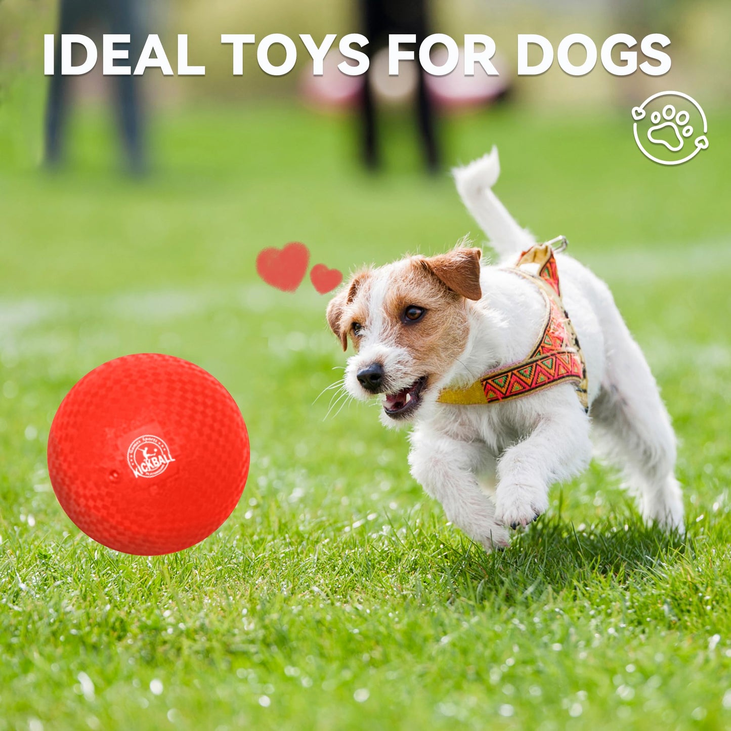 8.5 Inch Kickball Set, Dodgeballs 12 Pack, Playground Balls for Kids&Adults, Bouncy Balls Includes Pump and Storage Bag, Handball for Outdoor & Indoor Games, Boys and Girls Gift with Gift Box